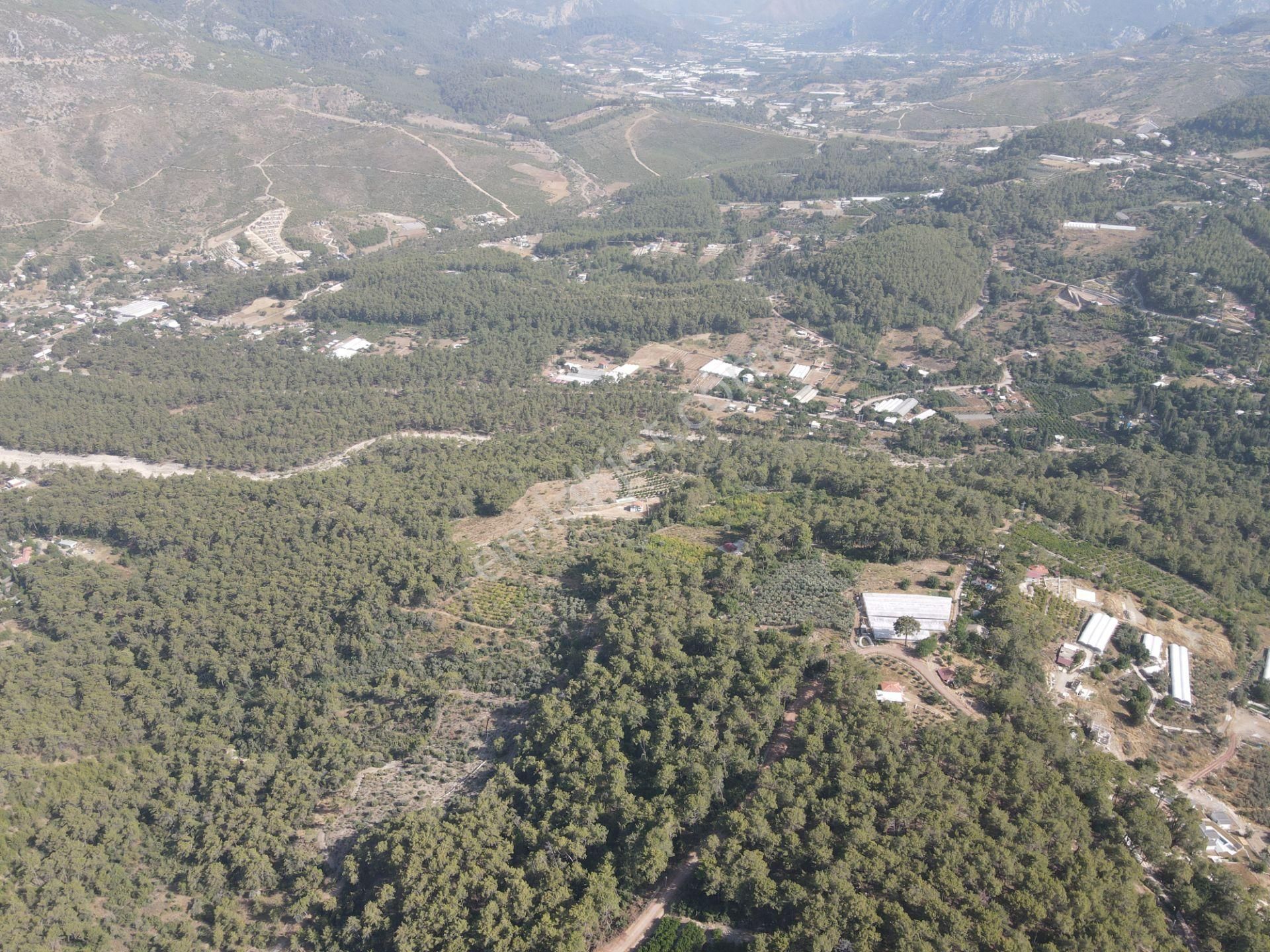 Bmk Emlaktan Antalya Kumluca Yazır Da Satılık Zeytin Bahçesi - Görsel 15