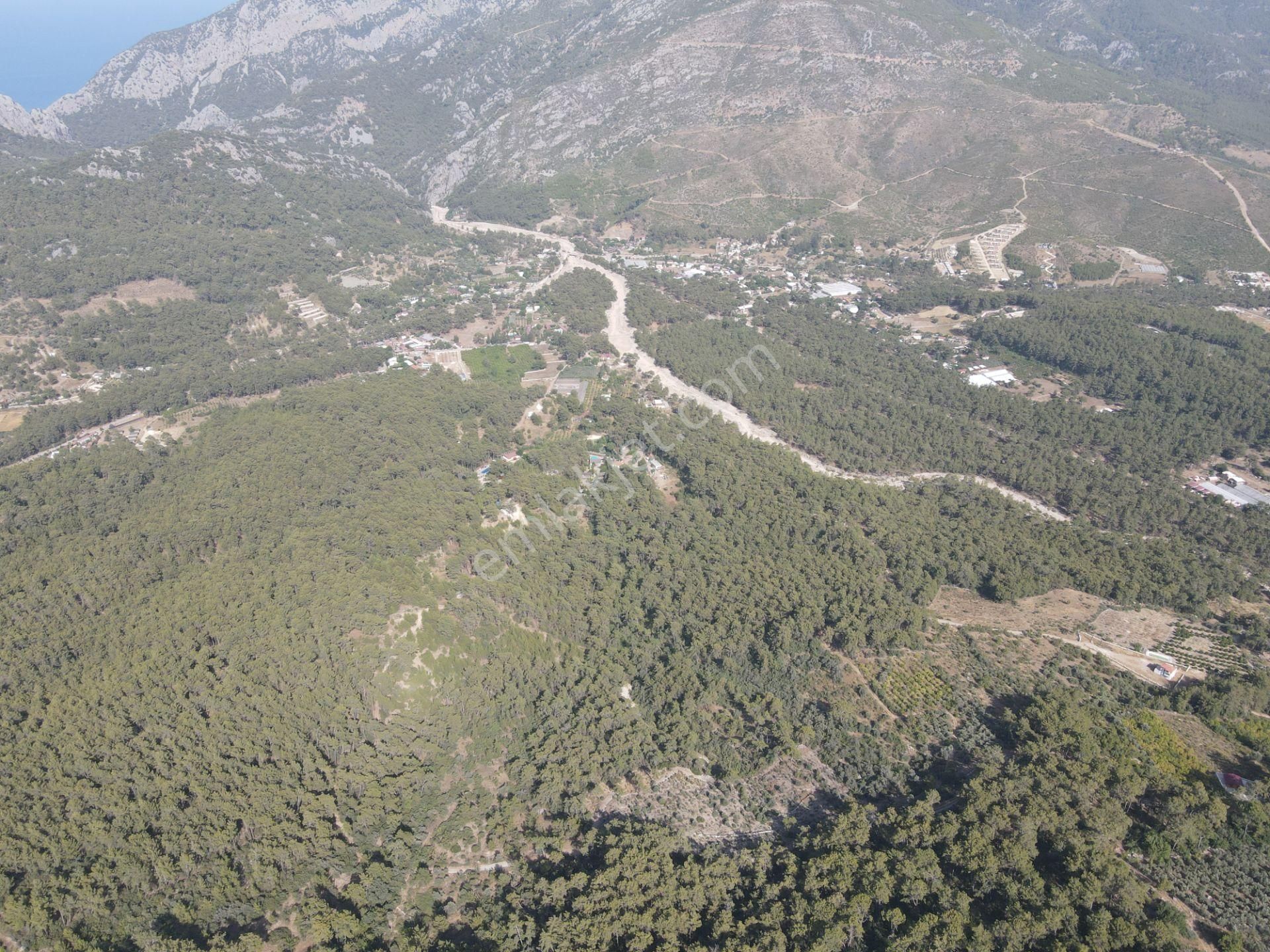 Bmk Emlaktan Antalya Kumluca Yazır Da Satılık Zeytin Bahçesi - Görsel 10
