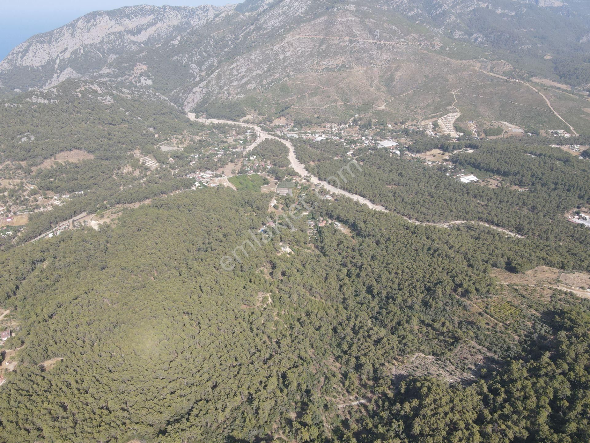 Bmk Emlaktan Antalya Kumluca Yazır Da Satılık Zeytin Bahçesi - Görsel 17