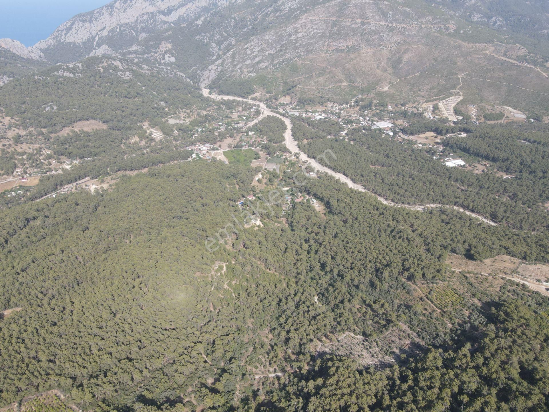 Bmk Emlaktan Antalya Kumluca Yazır Da Satılık Zeytin Bahçesi - Görsel 11
