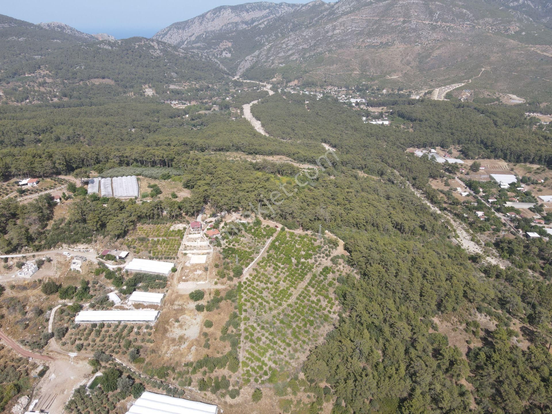 Bmk Dan Antalya Kumluca Yazır Da Satılık Nar Bahçesi Ve Villa - Görsel 5