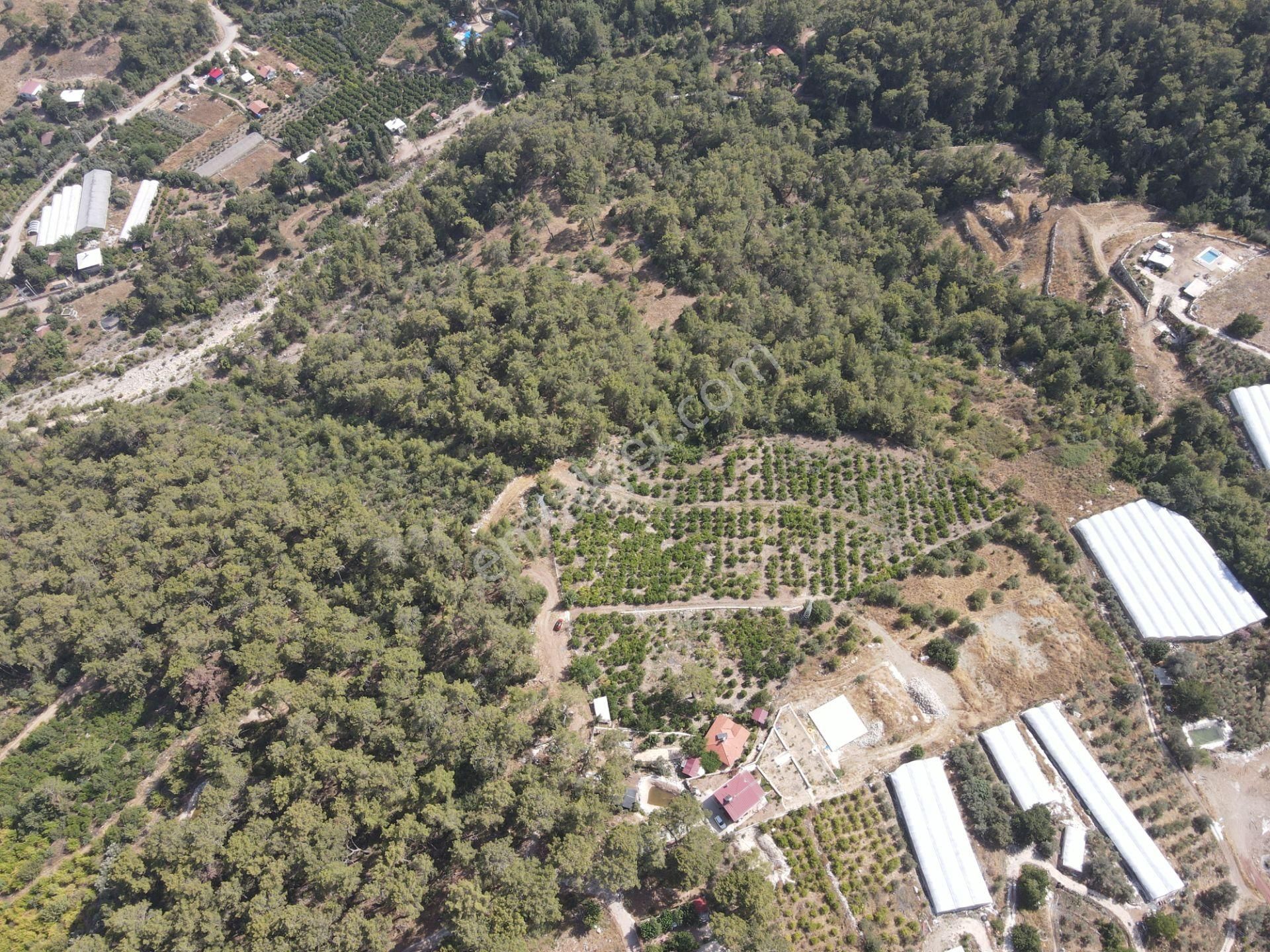 Bmk Dan Antalya Kumluca Yazır Da Satılık Nar Bahçesi Ve Villa - Görsel 16