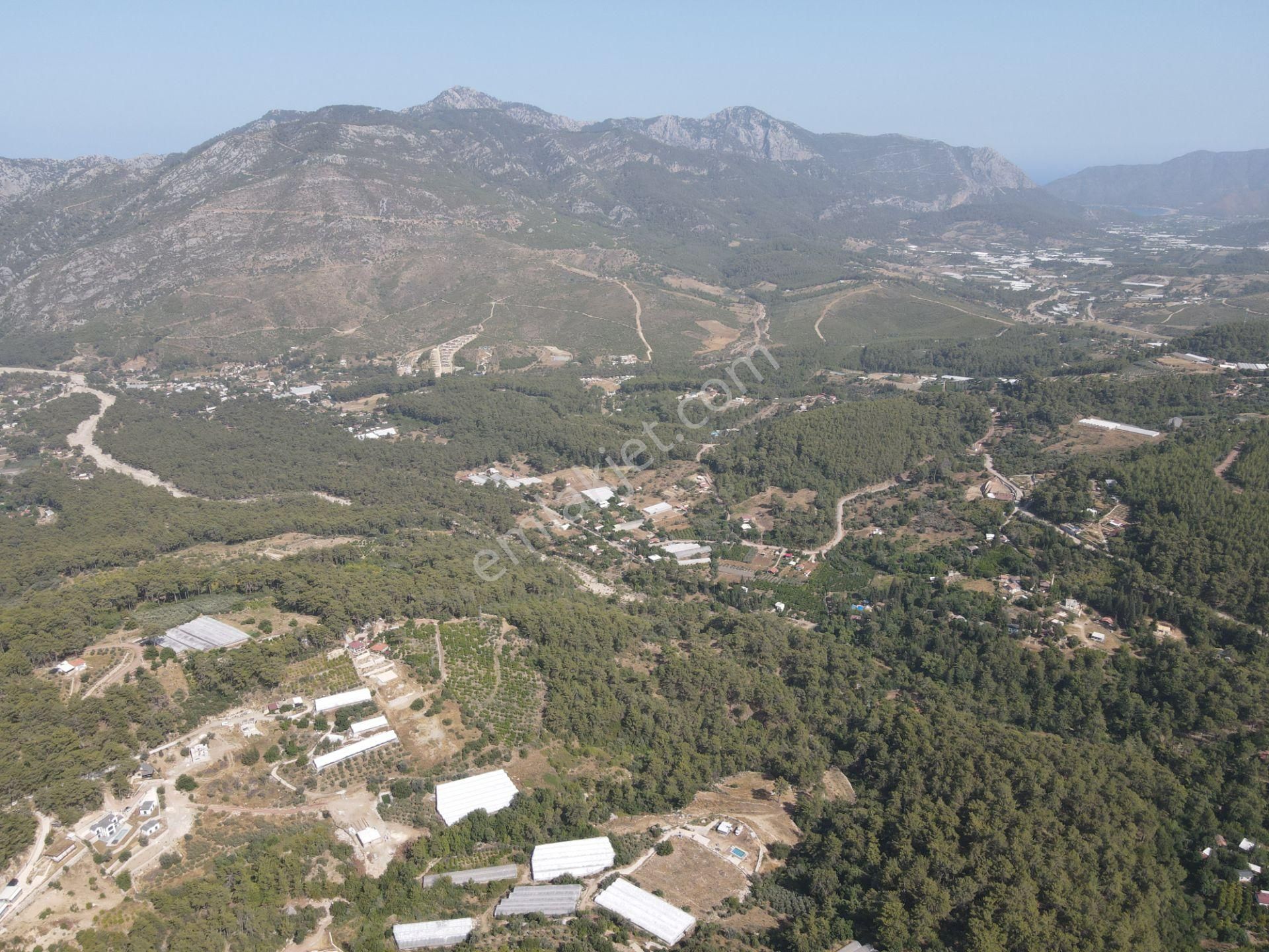 Bmk Dan Antalya Kumluca Yazır Da Satılık Nar Bahçesi Ve Villa - Görsel 9