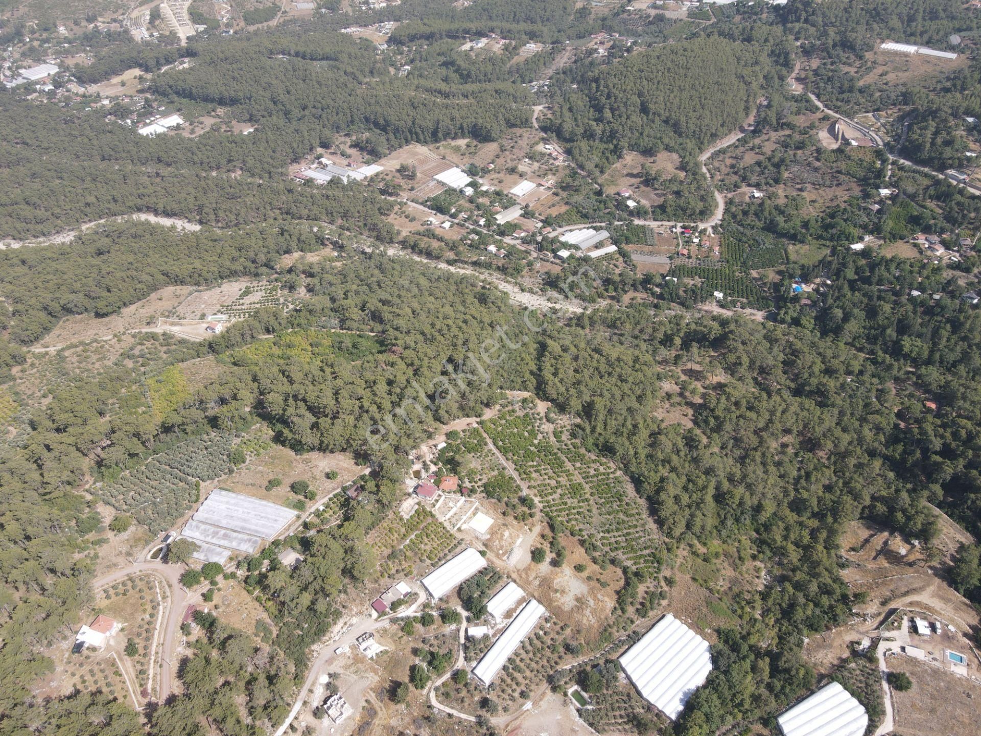 Bmk Dan Antalya Kumluca Yazır Da Satılık Nar Bahçesi Ve Villa - Görsel 14