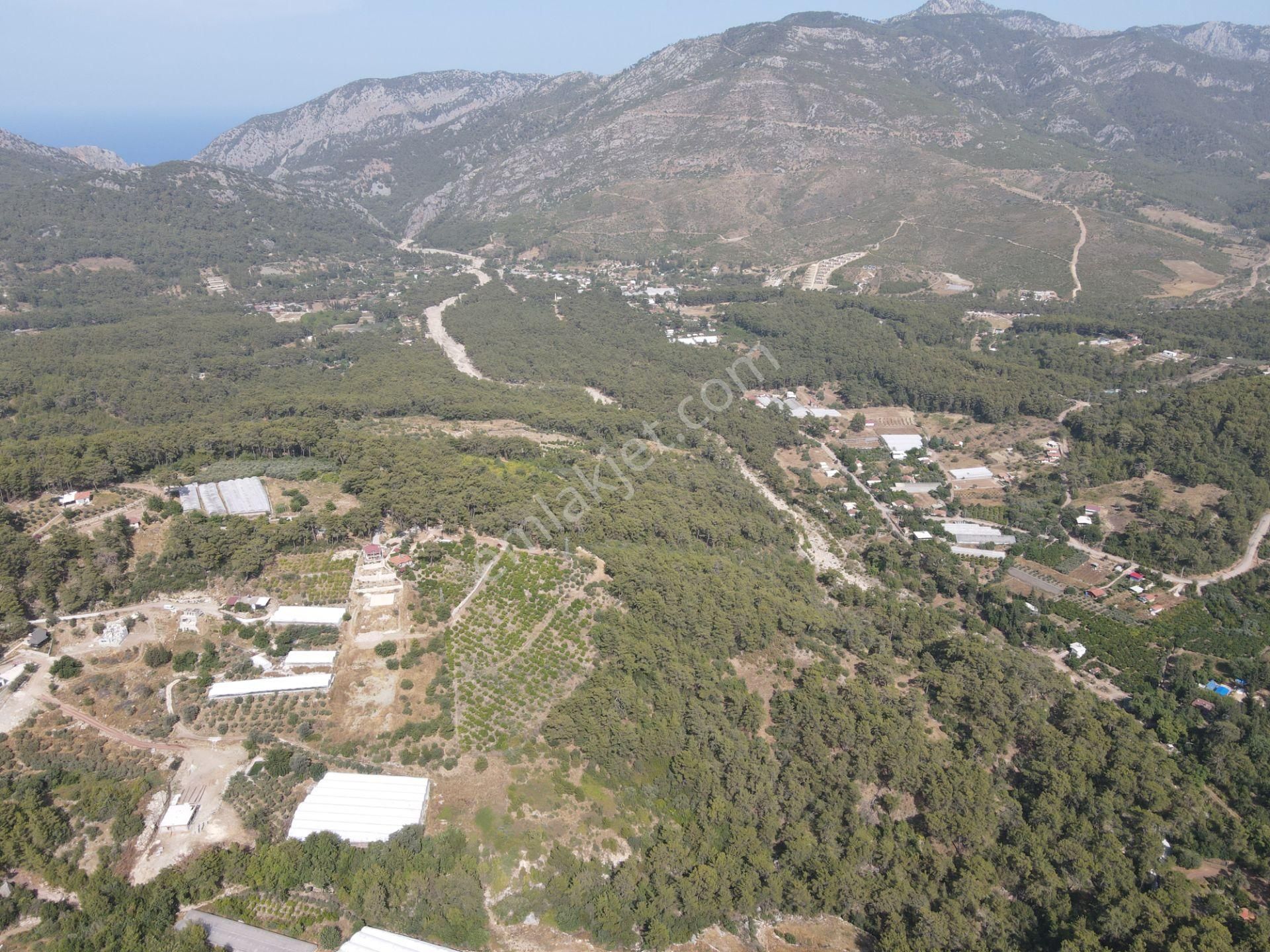 Bmk Dan Antalya Kumluca Yazır Da Satılık Nar Bahçesi Ve Villa - Görsel 4