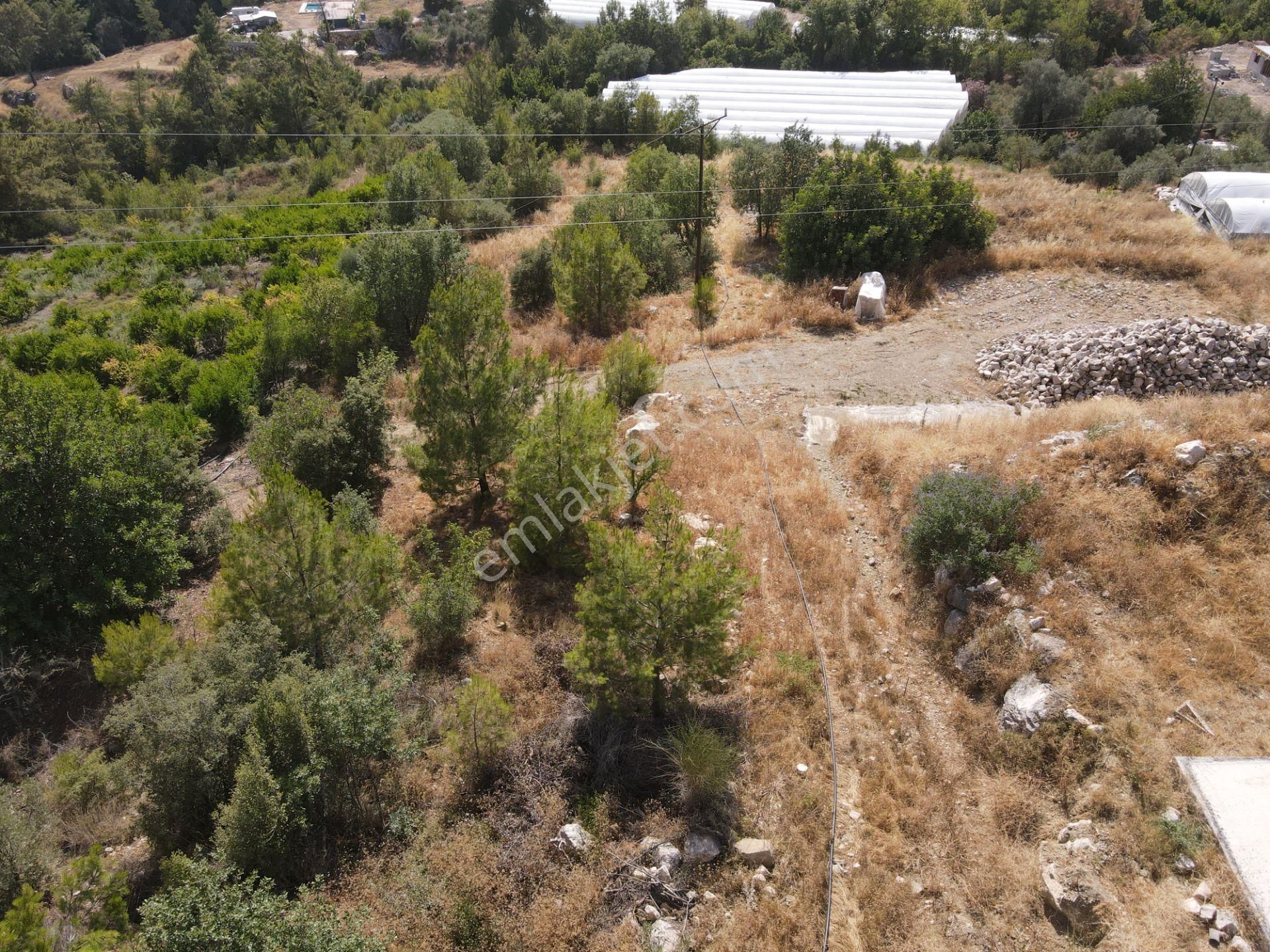 Bmk Dan Antalya Kumluca Yazır Da Satılık Nar Bahçesi Ve Villa - Görsel 32