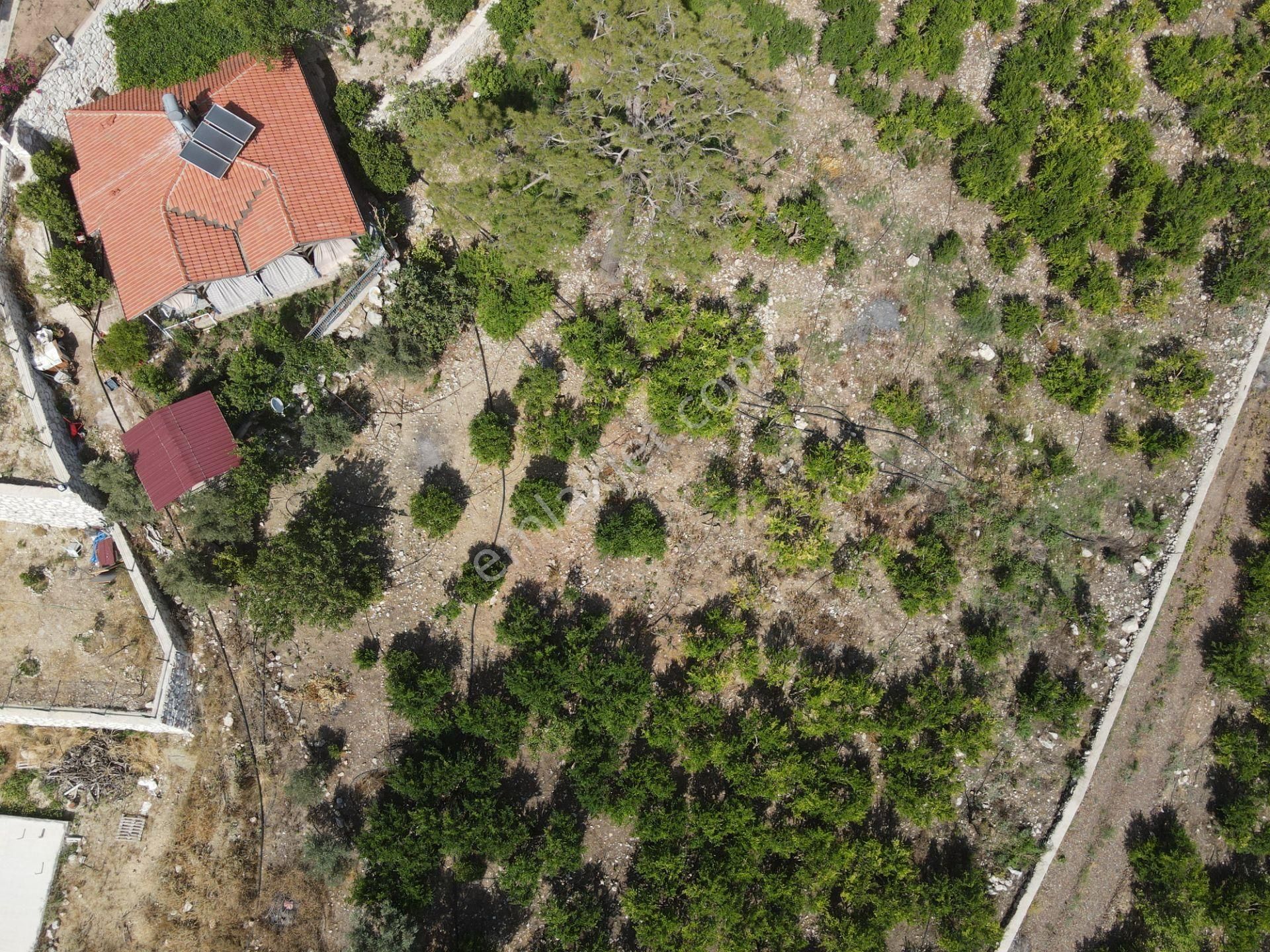 Bmk Dan Antalya Kumluca Yazır Da Satılık Nar Bahçesi Ve Villa - Görsel 31