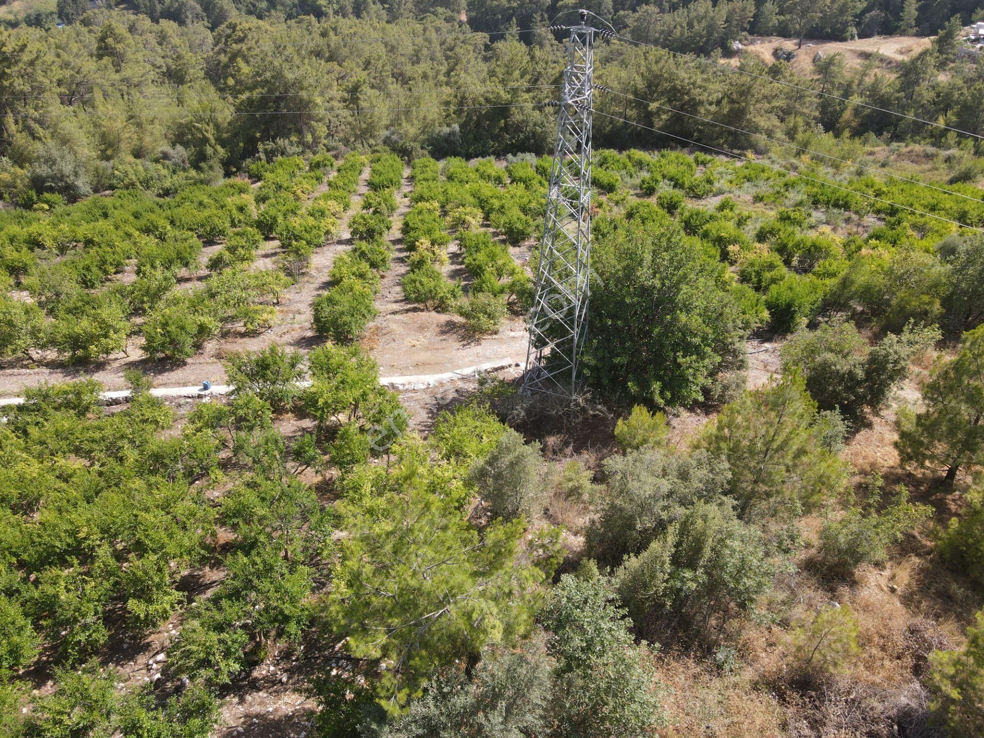 Bmk Dan Antalya Kumluca Yazır Da Satılık Nar Bahçesi Ve Villa - Görsel 23