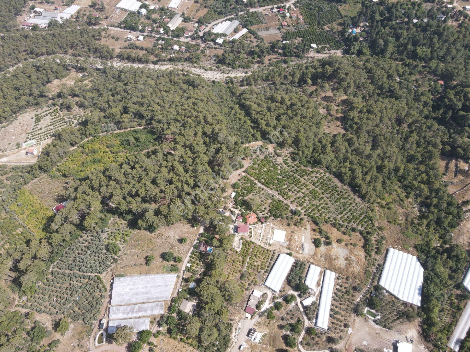 Bmk Dan Antalya Kumluca Yazır Da Satılık Nar Bahçesi Ve Villa - Görsel 15