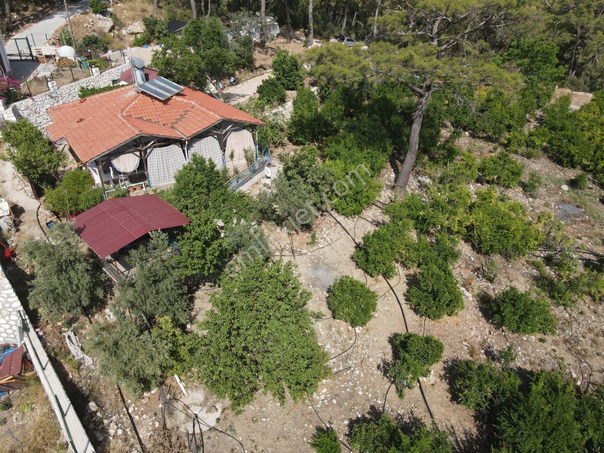 Bmk Dan Antalya Kumluca Yazır Da Satılık Nar Bahçesi Ve Villa - Görsel 29