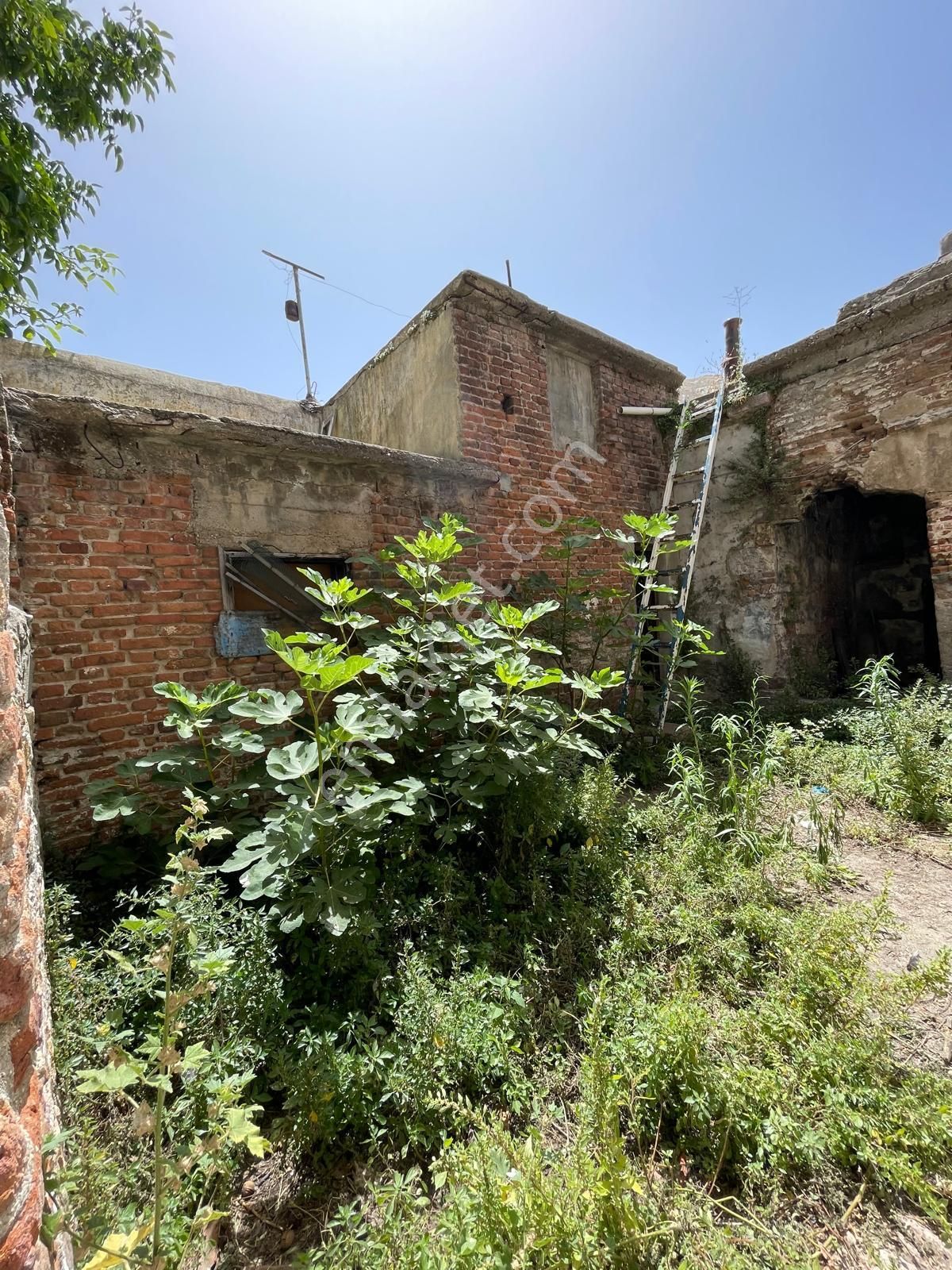 Ayvada'dan Ayvalık Merkez'de Bahçeli 2 Katlı Hamam Ve 2 Katlı Taş Rum Ev - Görsel 14