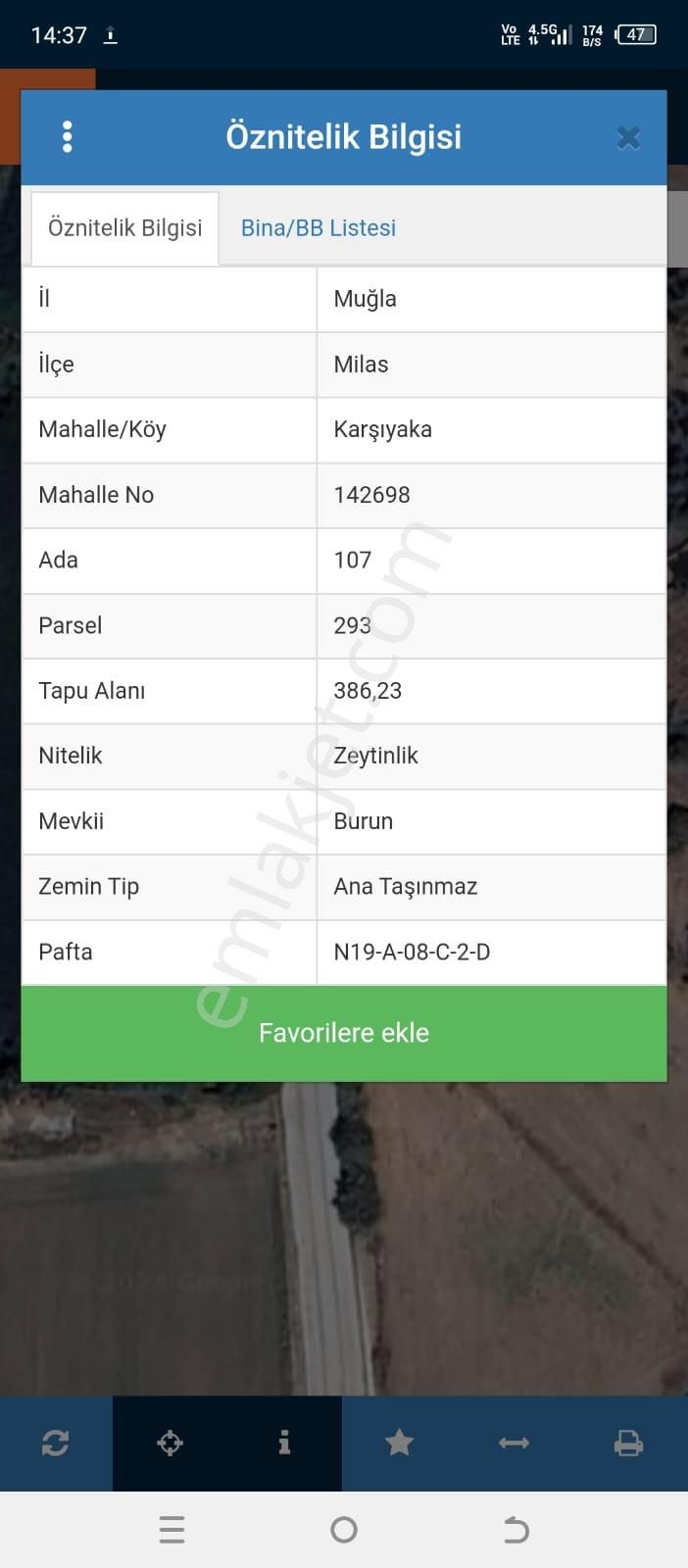 Milas Karşıyaka Satılık Zeytinlik  MUĞLA / MİLAS / KARŞIYAKA / 386 M2 ZEYTİNLİK