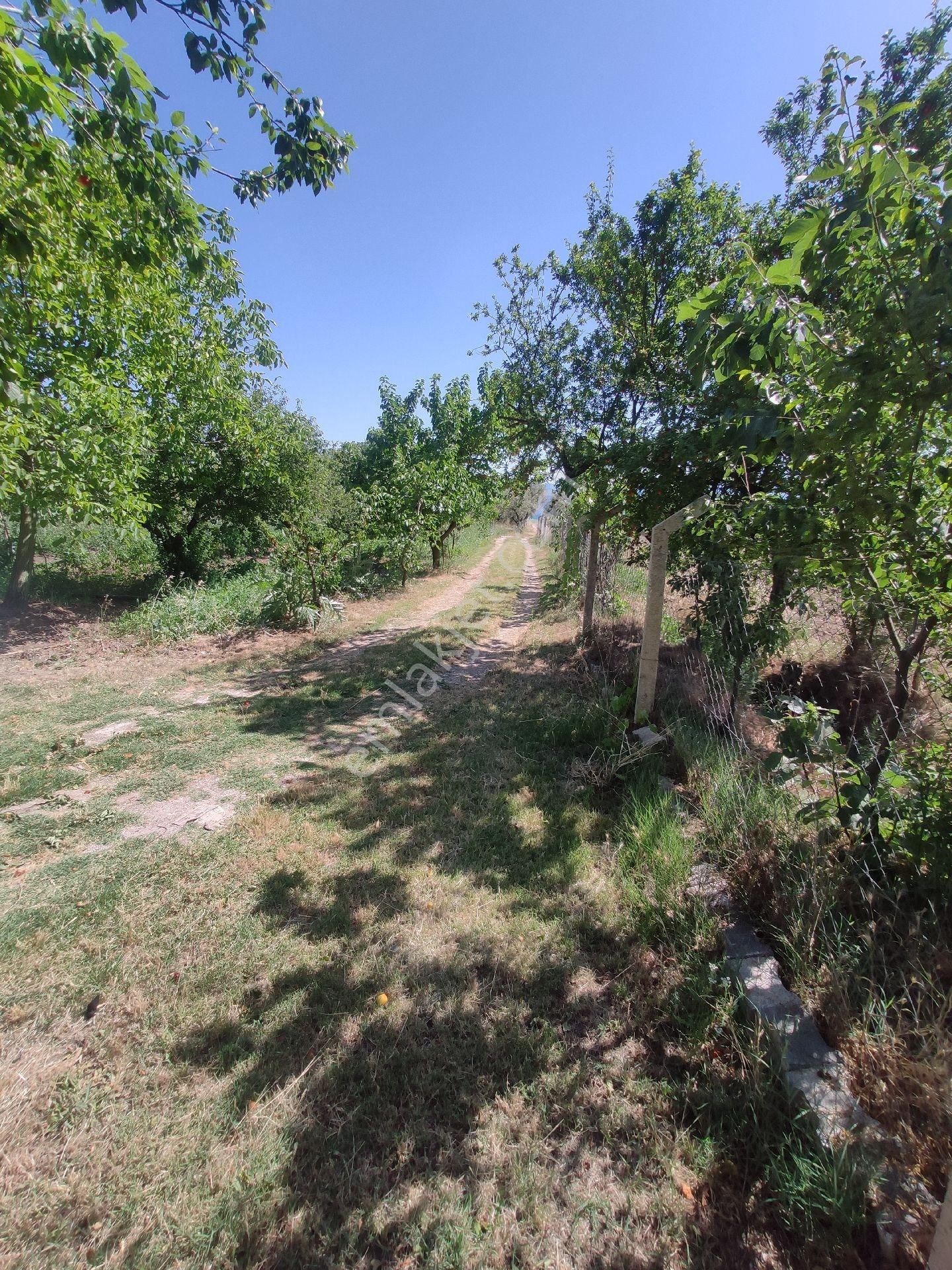 Satılık Çiftlik - Görsel 6