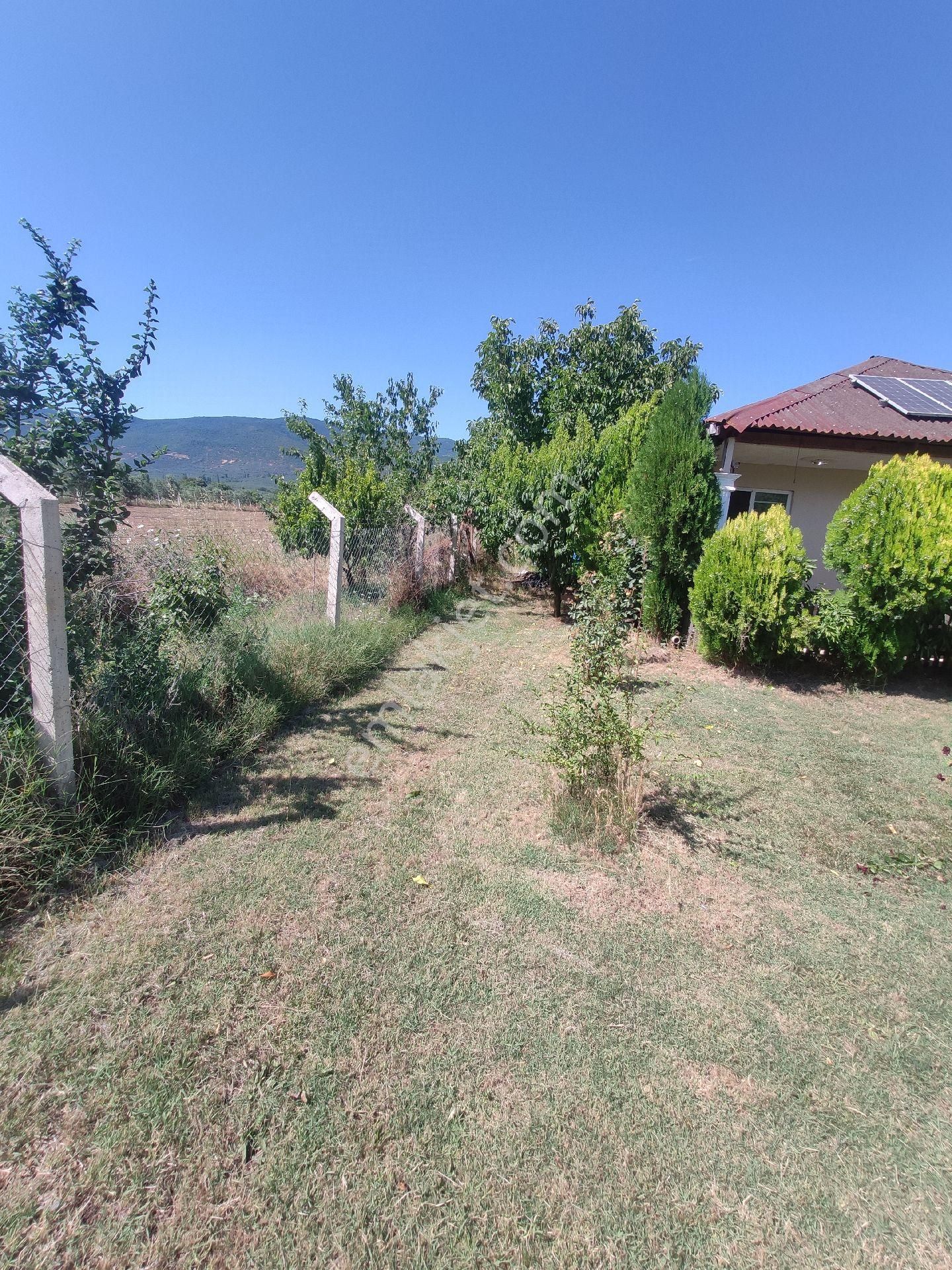 Satılık Çiftlik - Görsel 2