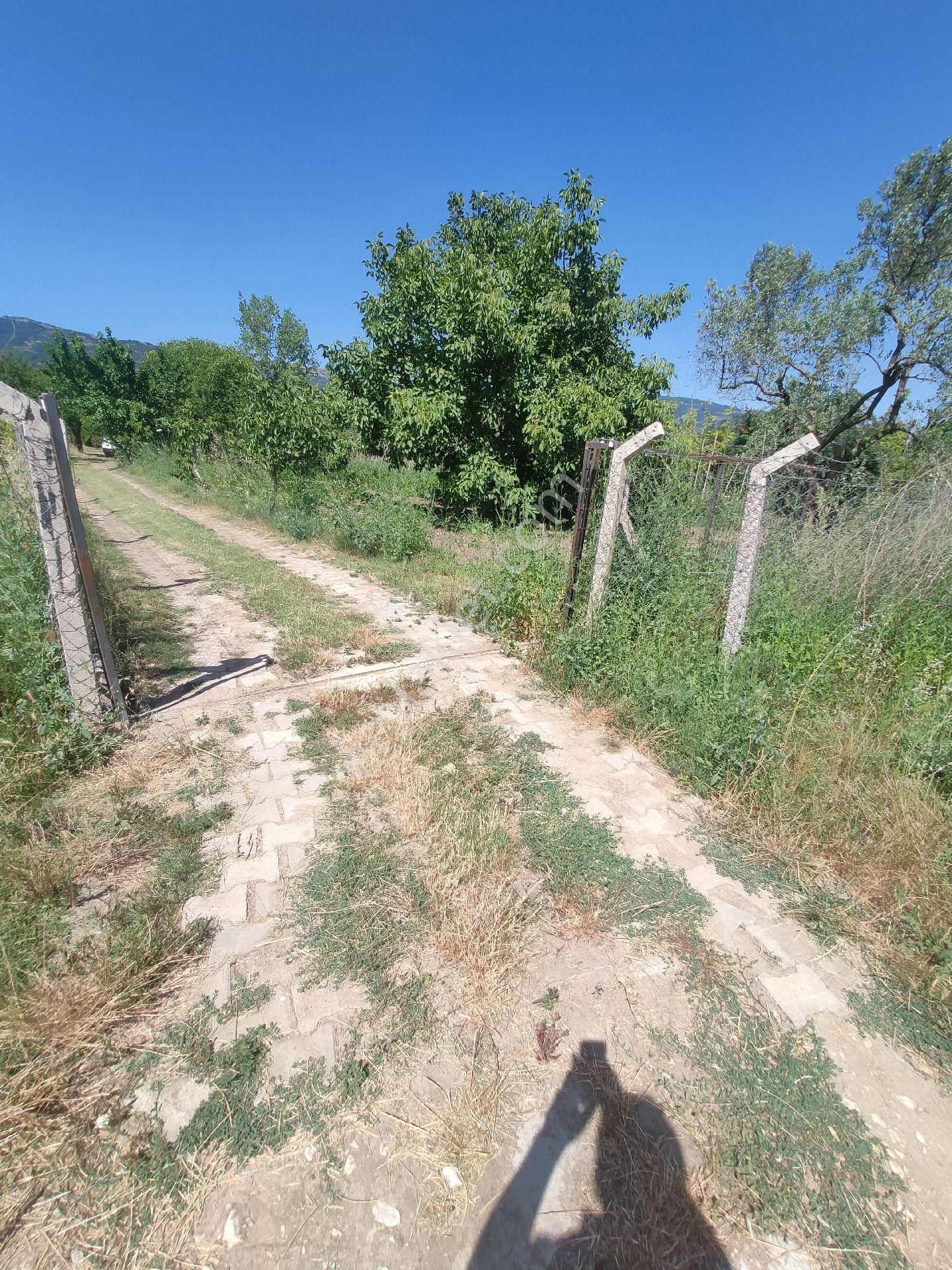 Satılık Çiftlik - Görsel 7