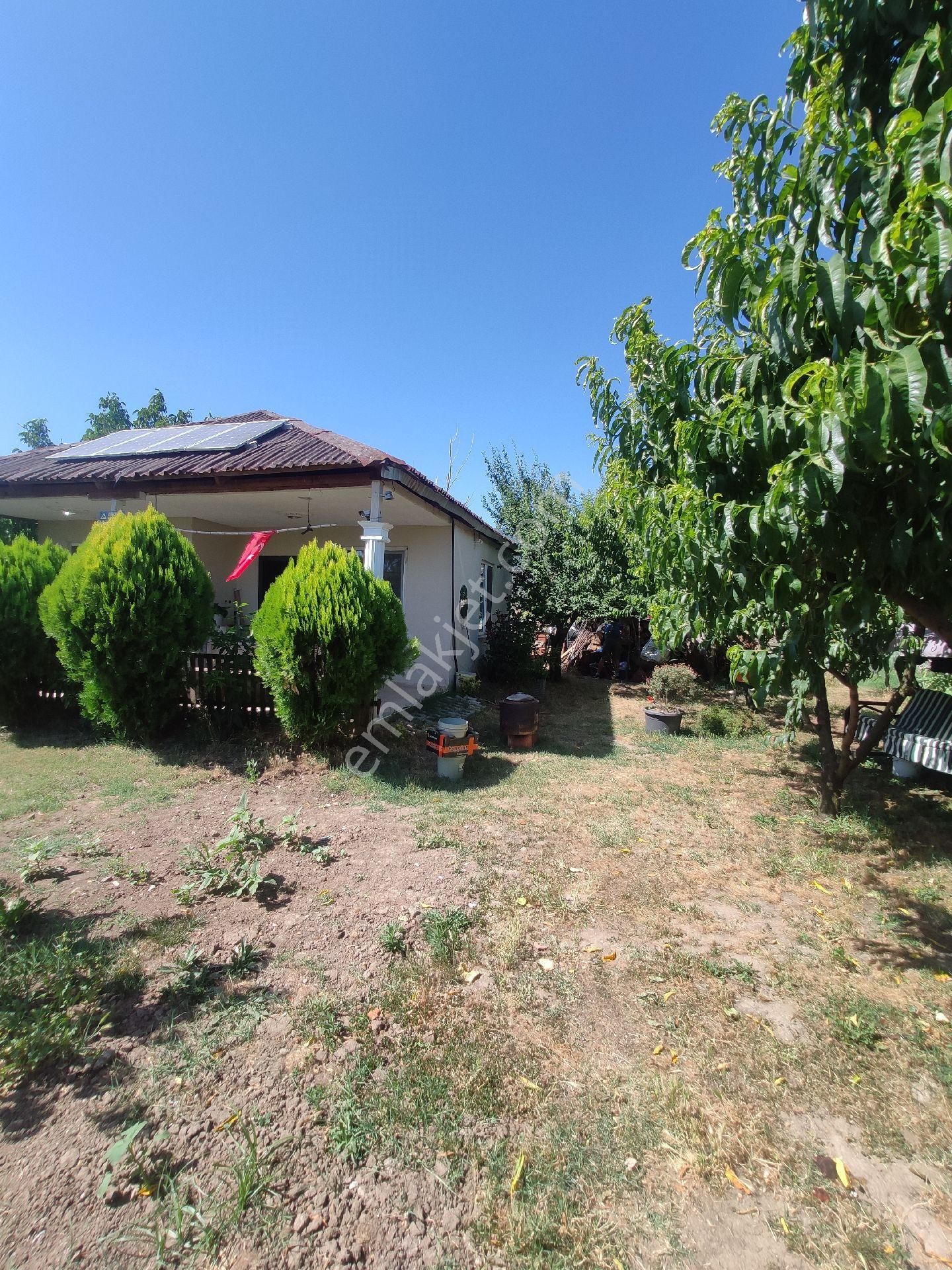 Satılık Çiftlik - Görsel 35