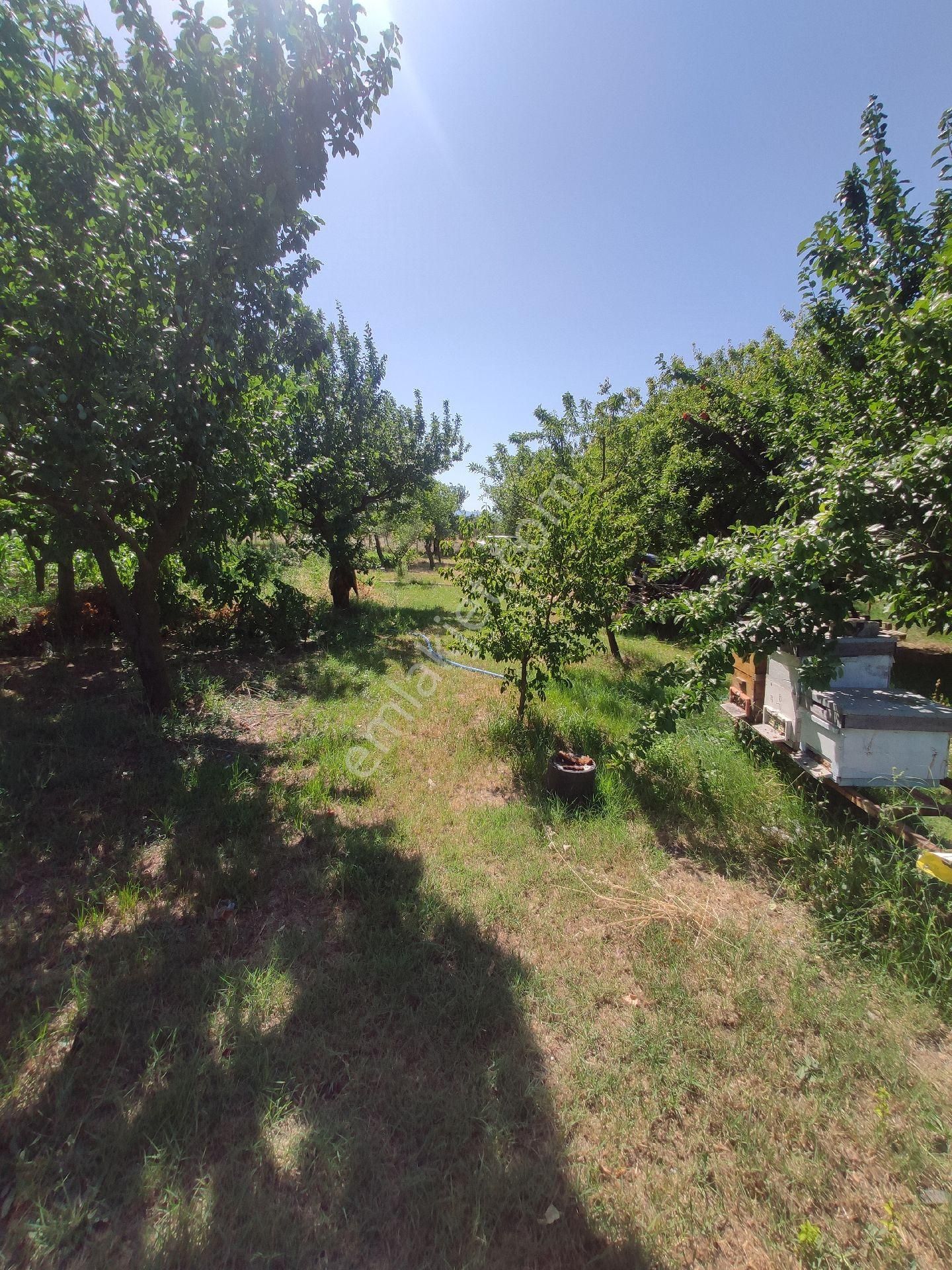 Satılık Çiftlik - Görsel 18