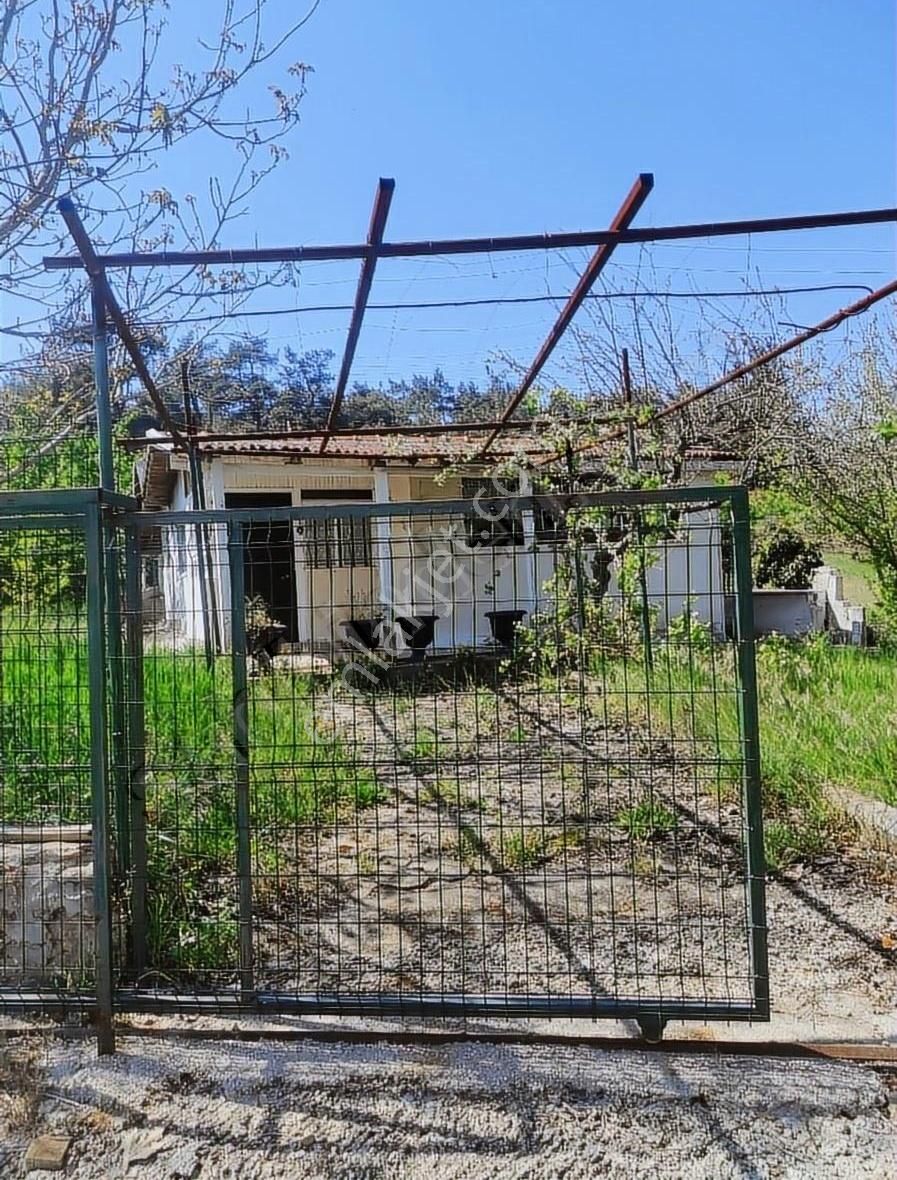 Gelibolu Ilgardere Köyü Satılık Tarla GELİBOLU ILGARDERE KÖYÜNDE CENNETTEN BİR KÖŞE