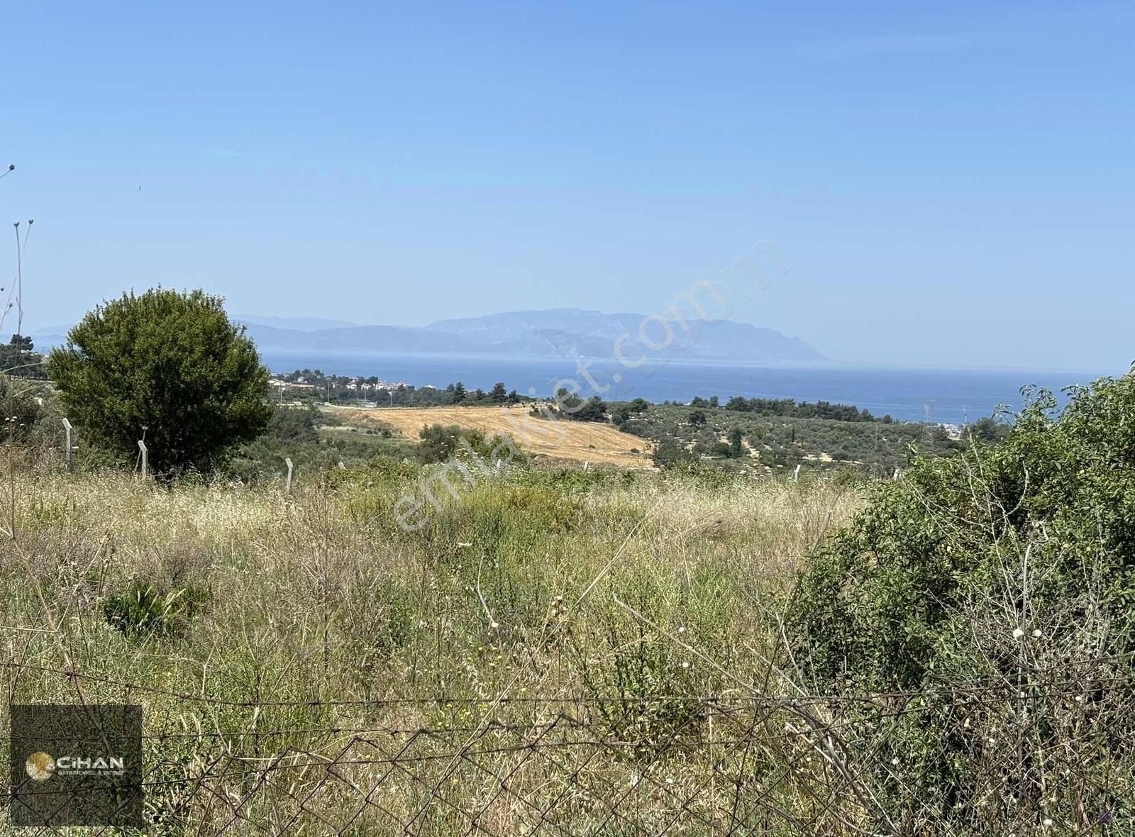 Kuşadası Kirazlı Satılık Tarla KUŞADASI YAYLAKÖY SINIRI DENİZ MANZARALI 3 DÖNÜM ÜZÜM BAĞI