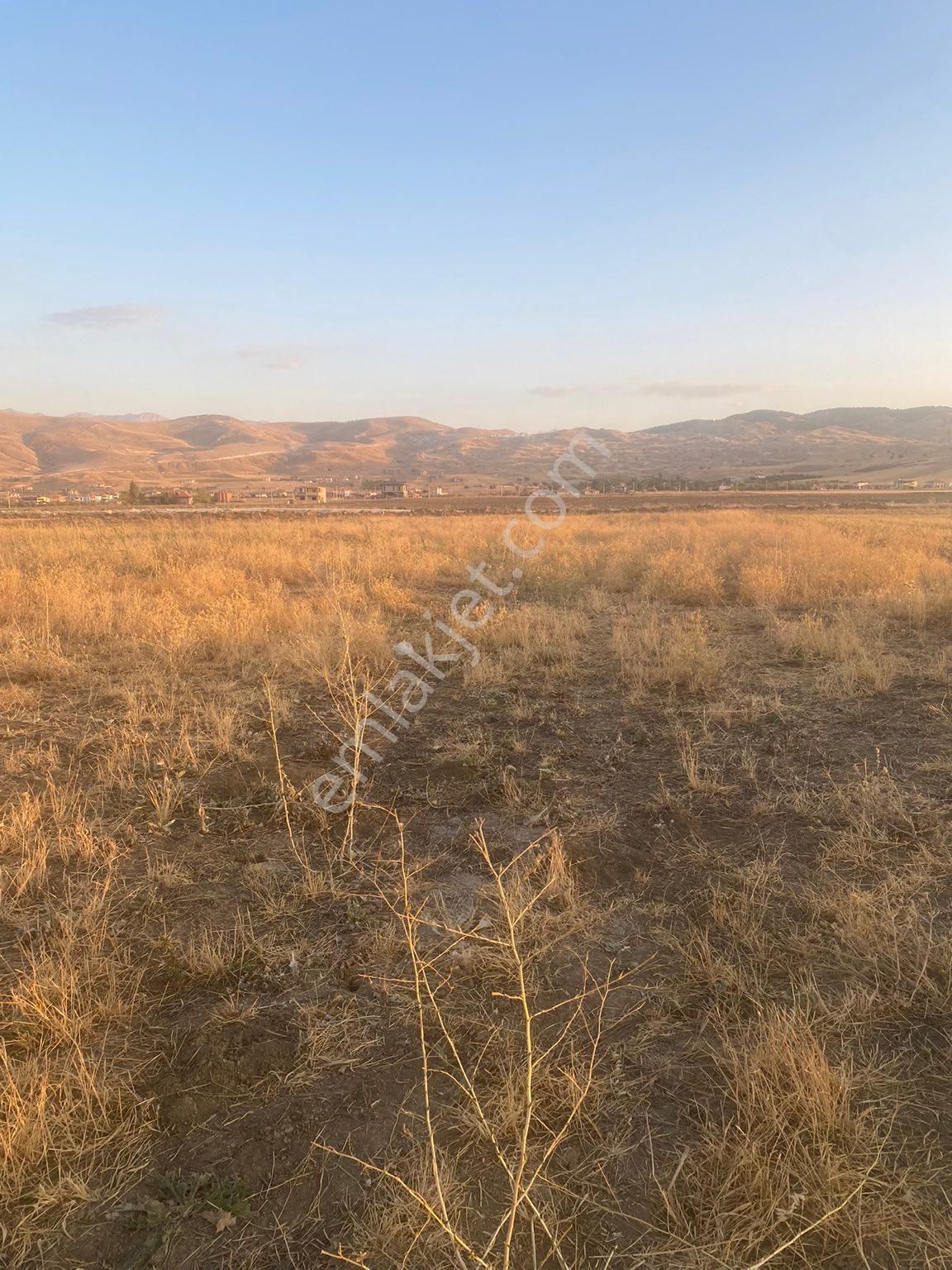 Ulukışla Cumhuriyet İmarlı Arsa Yanında Ev Var - Görsel 2