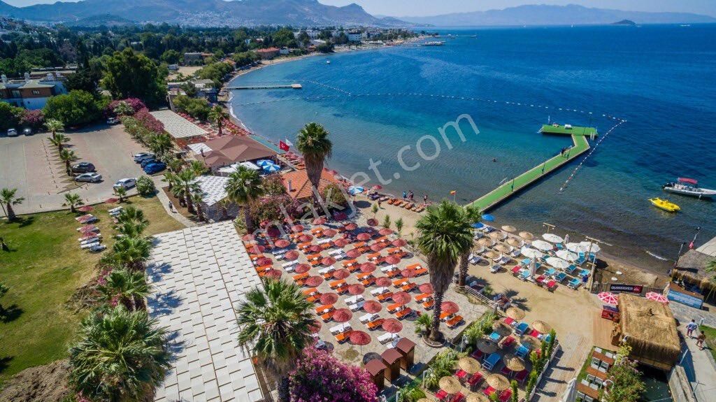 Bodrum Peksimet Kiralık Daire Club Armonia 20-27 Temmuz üst kat Geniş tip Otoparklı