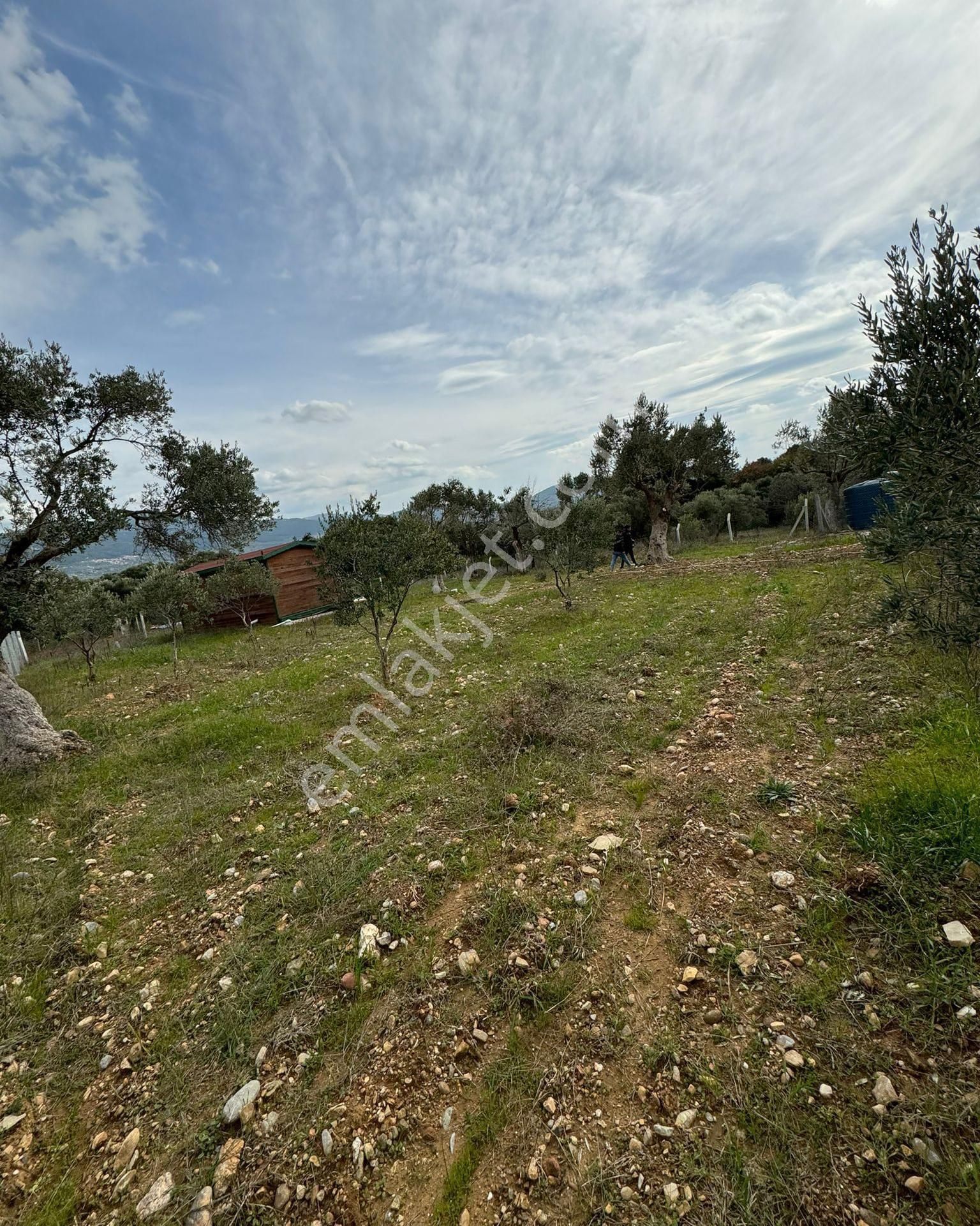 Torbalı Dağkızılca Satılık Tarla  İzmir Torbalı Dağkızılca'da Satılık 995 m2 Ahşap Evli Tarla