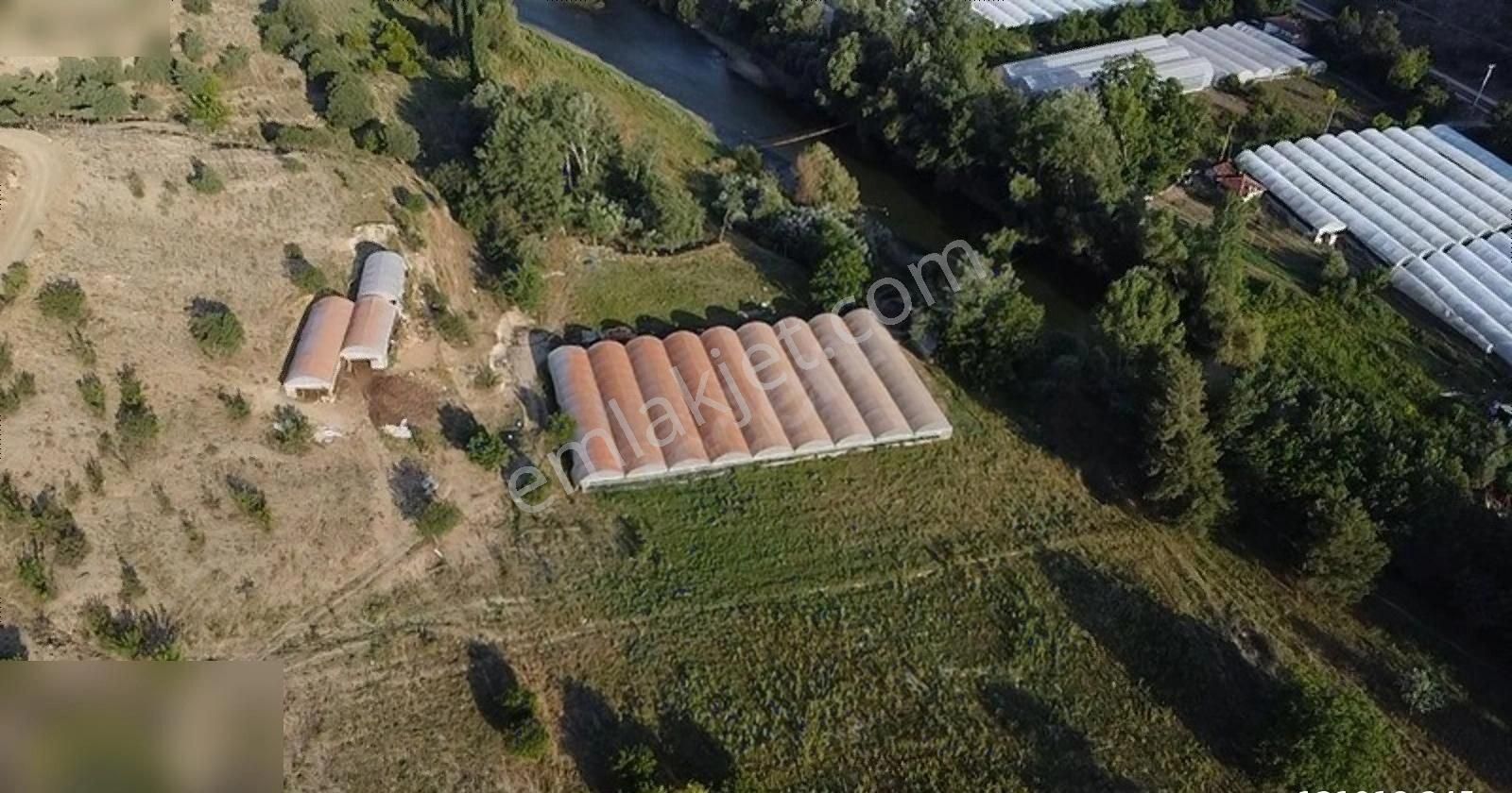 Söğüt Kayabalı Köyü Satılık Bağ & Bahçe Sakarya Nehri'ne Sıfır Arazimiz