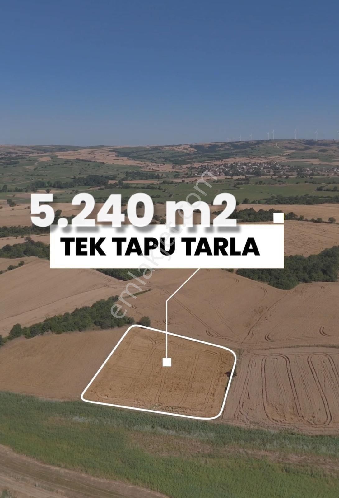 Uzunköprü Yağmurca Köyü Satılık Tarla EDİRNE UZUNKÖPRÜ YAĞMURCA’DA 5.240m2 TEK TAPU TARLAMIZ SATILIK