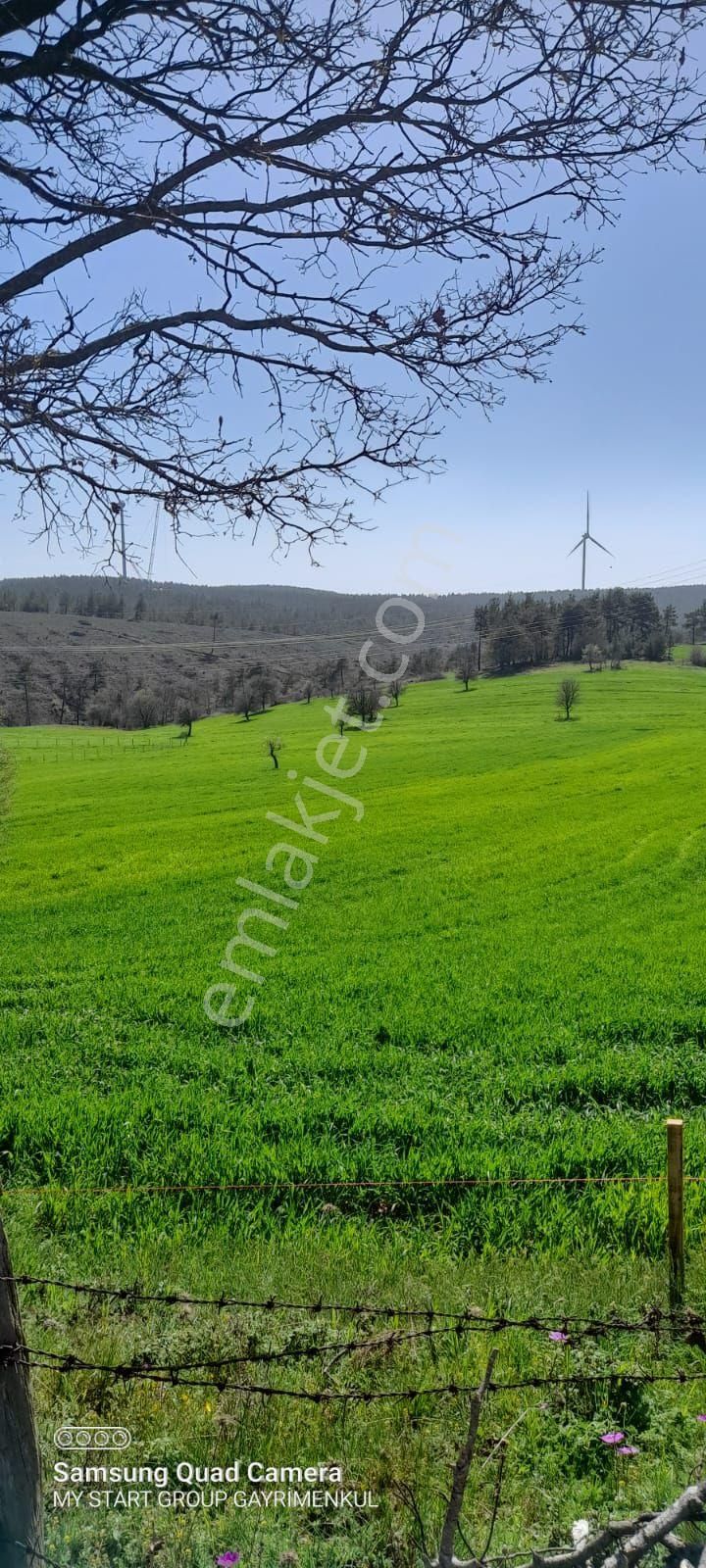 Çanakkale Merkez Denizgöründü Köyü Satılık Tarla ÇANAKKALE DENİZGÖRÜNDÜ KOYUNDE SATILIK YATIRIMLIK FIRSAT TARLA 