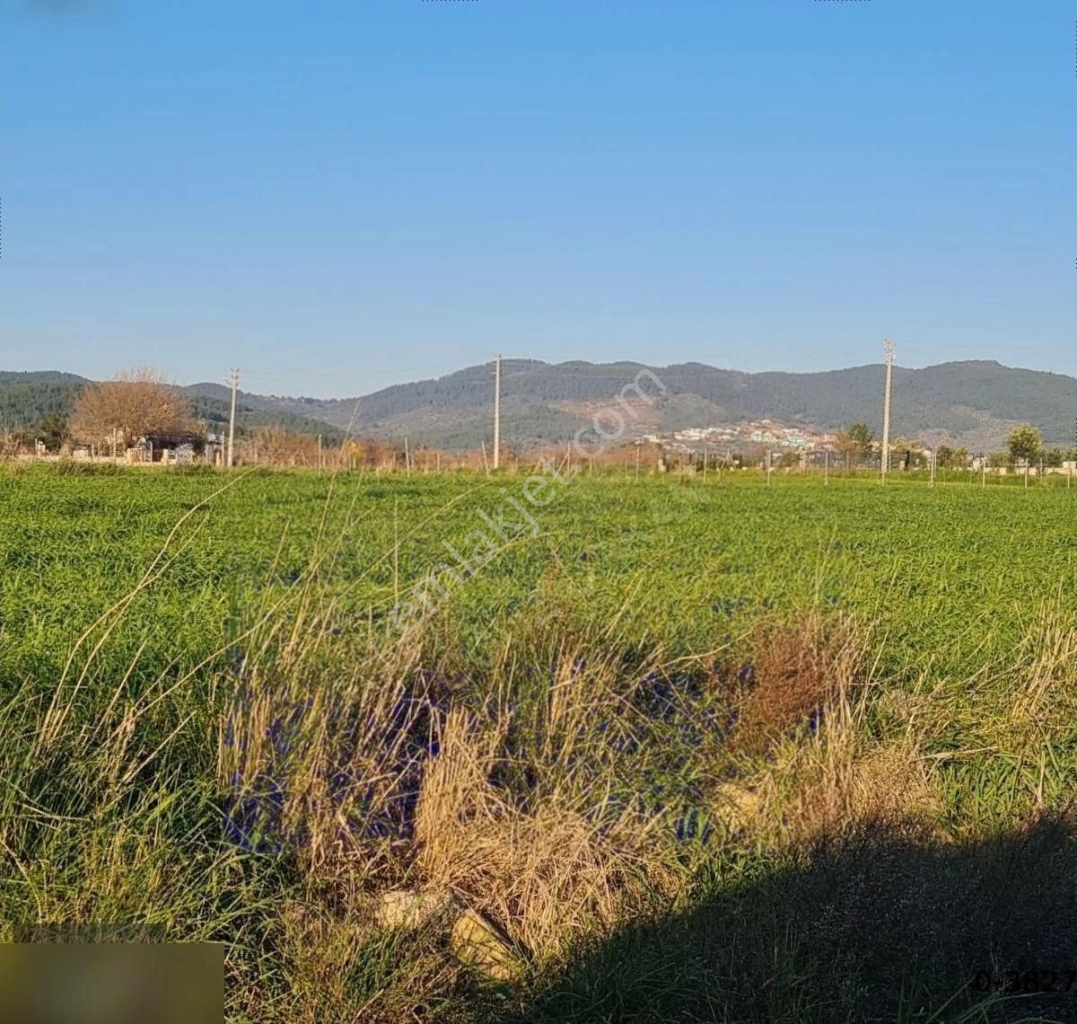 Bodrum Tepecik Te 10.630m2 - Görsel 8