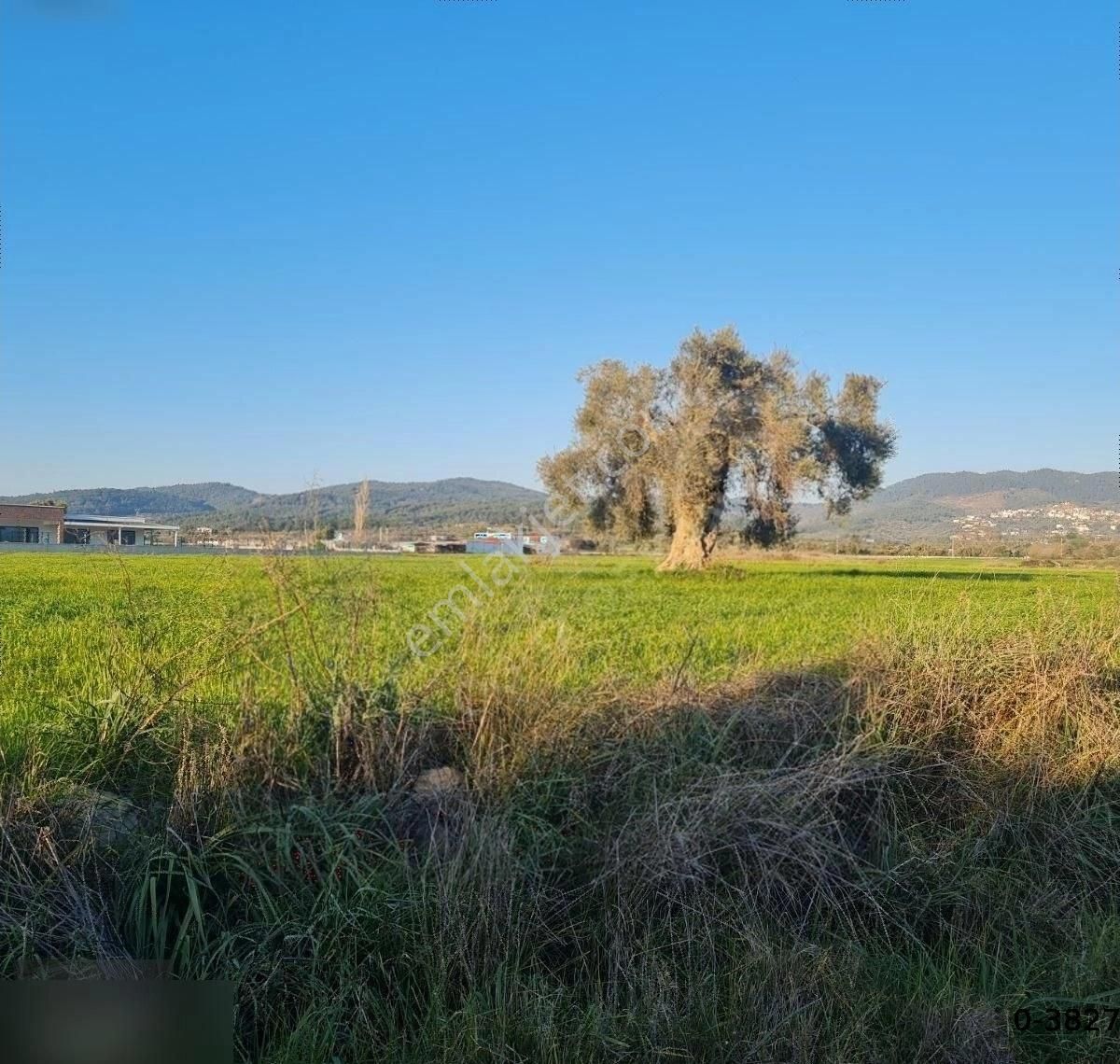 Bodrum Tepecik Te 10.630m2 - Görsel 9