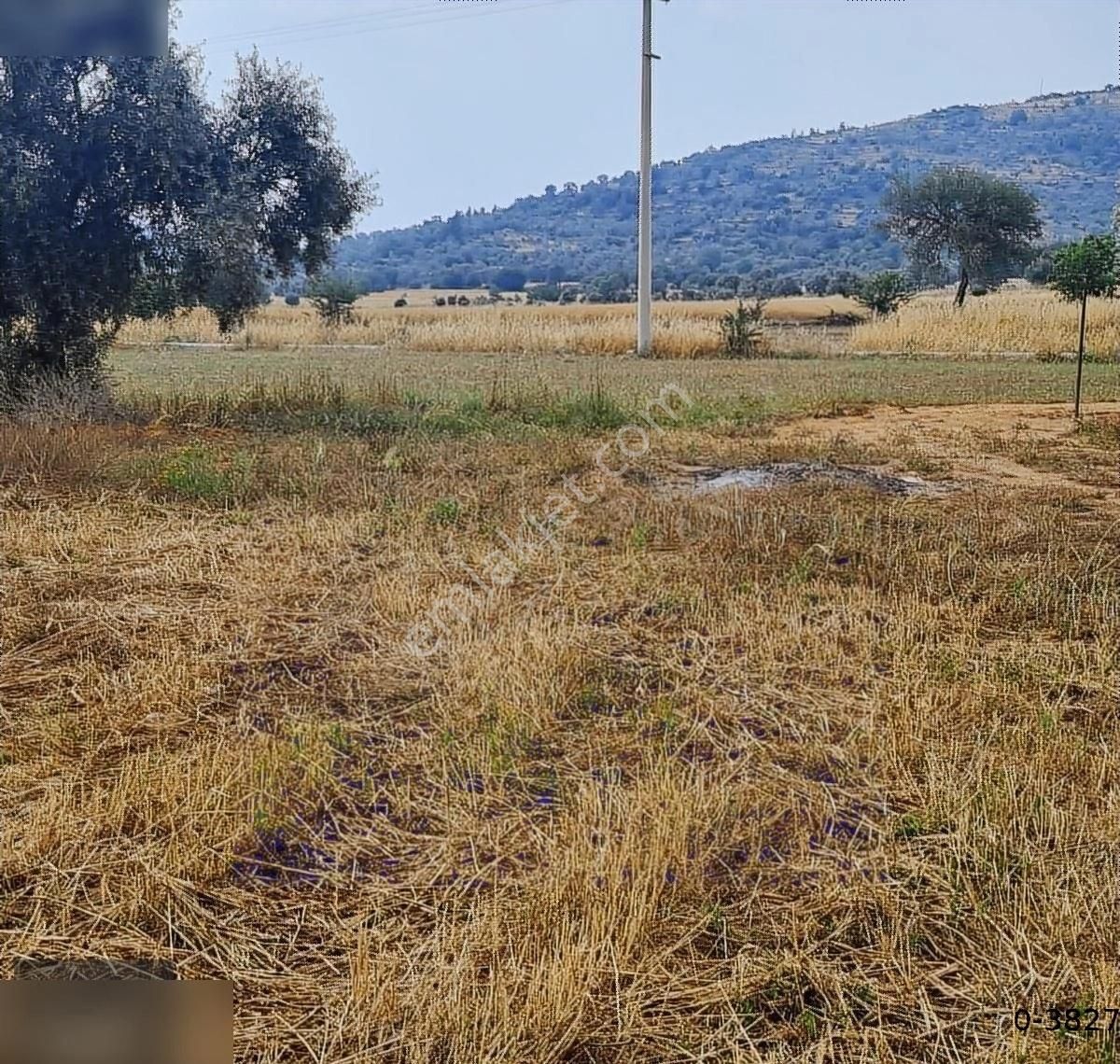Milas Kuzyaka Da 21.400m2 Asfalt Cepheli Elektrik Su Hazır - Görsel 10