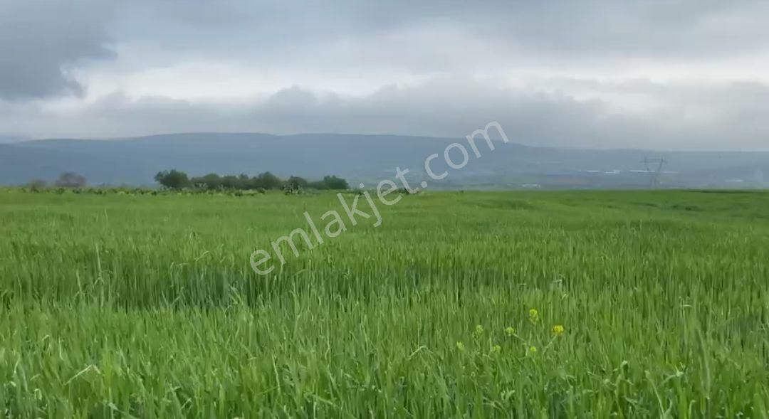 Keçiborlu Kılıç Köyü (Yenice) Satılık Tarla  ISPARTA KEÇİBORLU' DA KONUMU İTİBARİYLE FIRSAT SATILIK TARLA