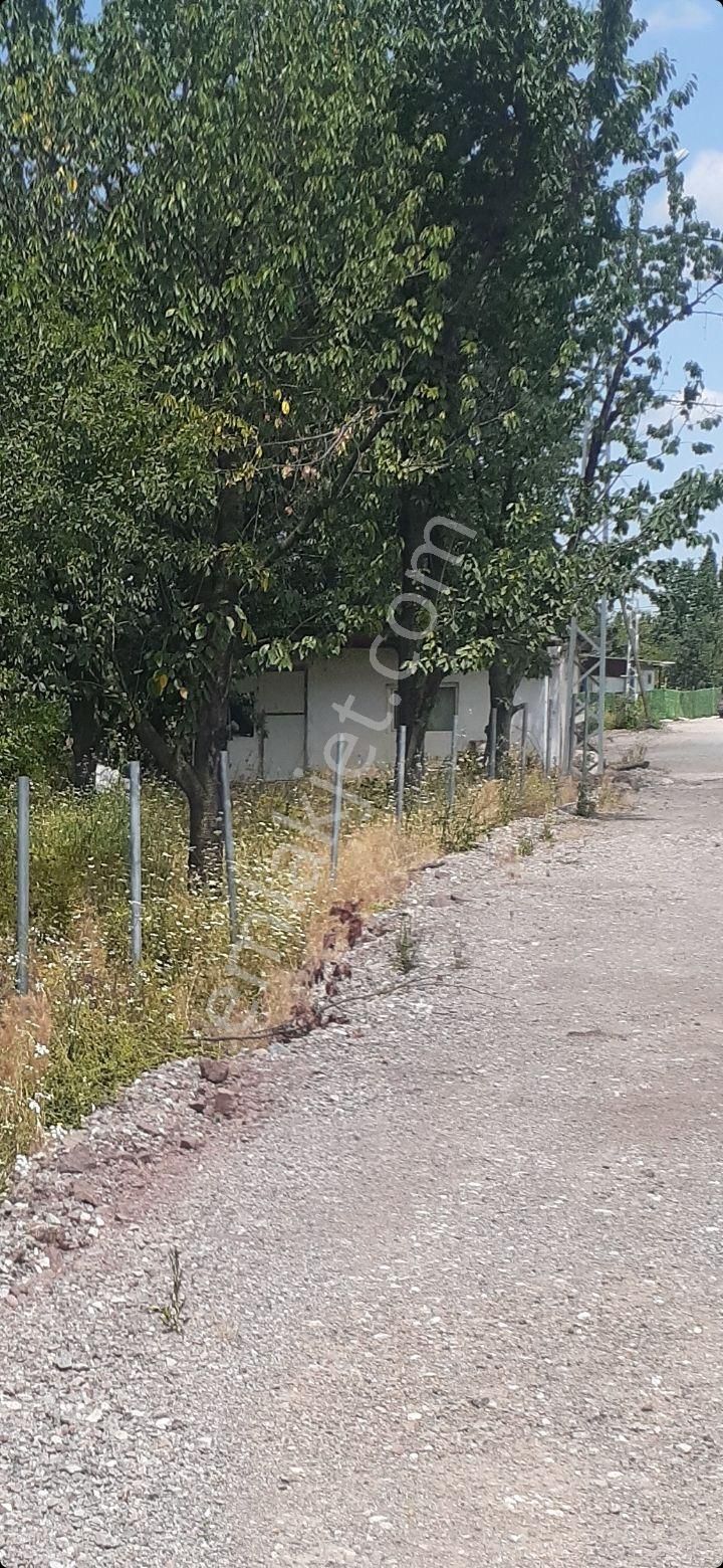 Kartepe Çepni Satılık Konut İmarlı doğayla içine imarli