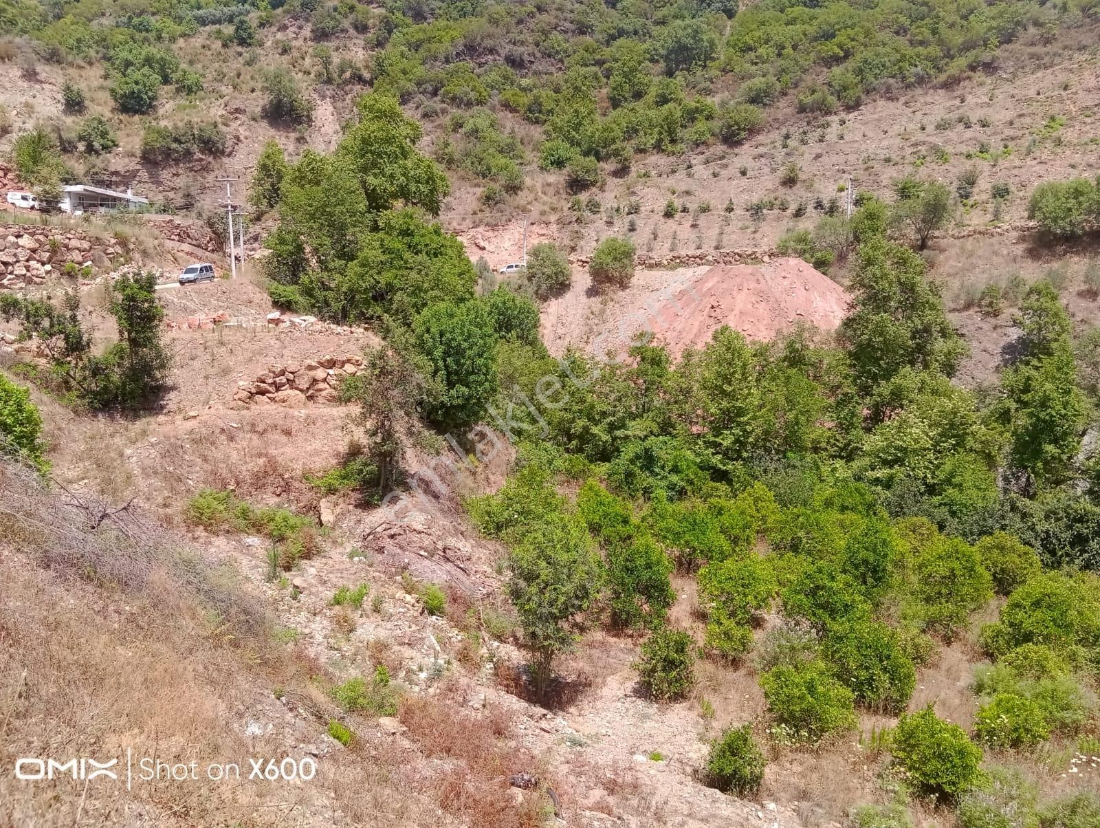 Alanya Güney Satılık Bağ & Bahçe  Alanya Güneyköy de Dücce Yerinde  Satılık bahçe 