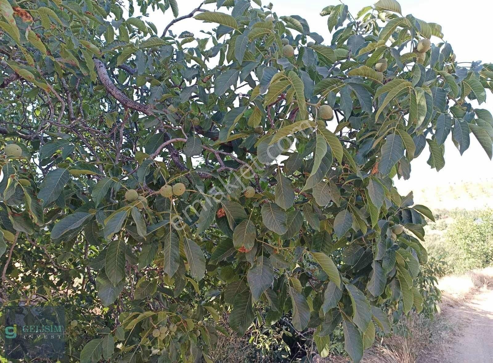 Toroslar Kavaklıpınar Satılık Konut İmarlı İKİ KATA İMARLI ARSA