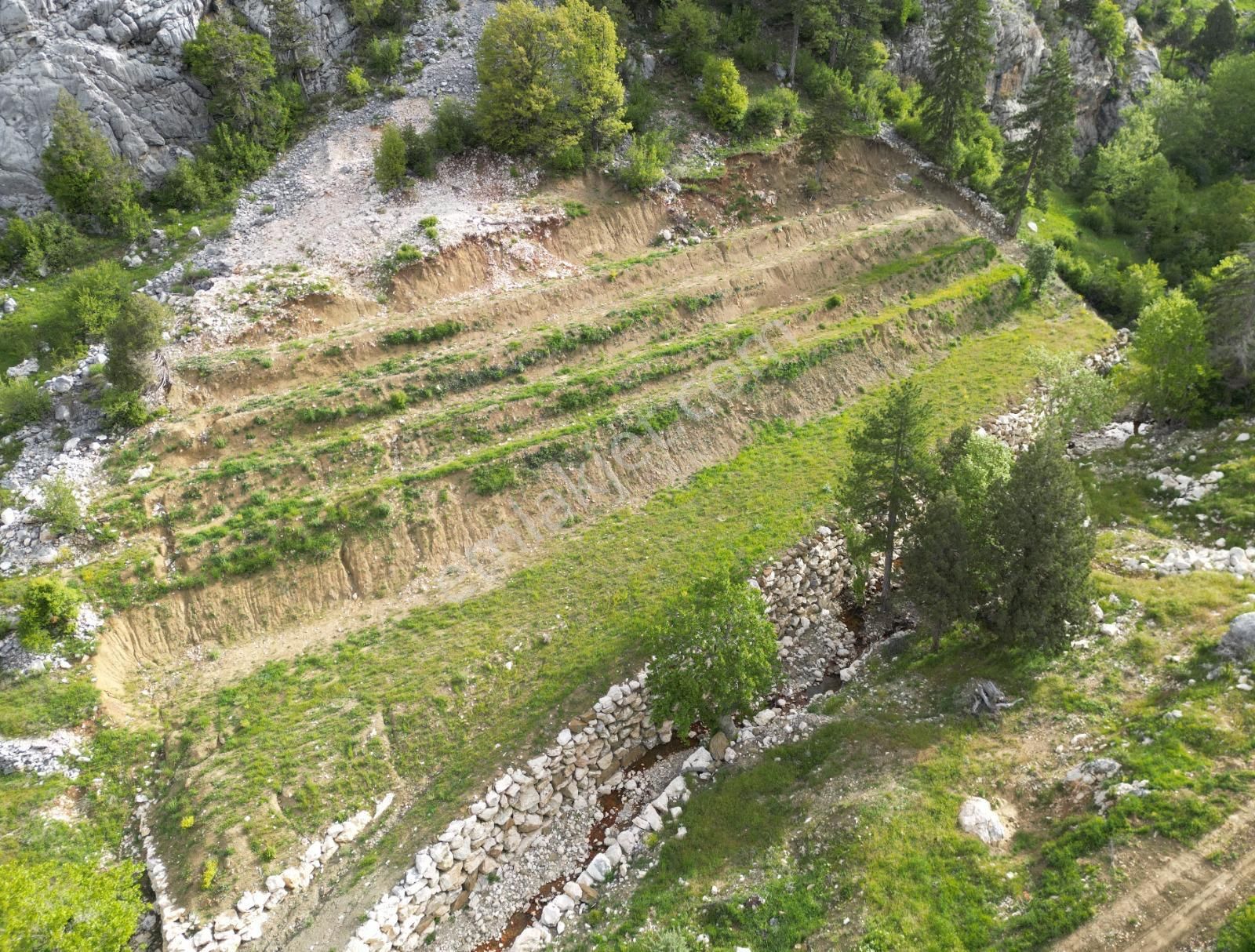 Alanya Gümüşkavak Satılık Tarla  alanya Kaplanhanı yaylası yola sıfır 3917m