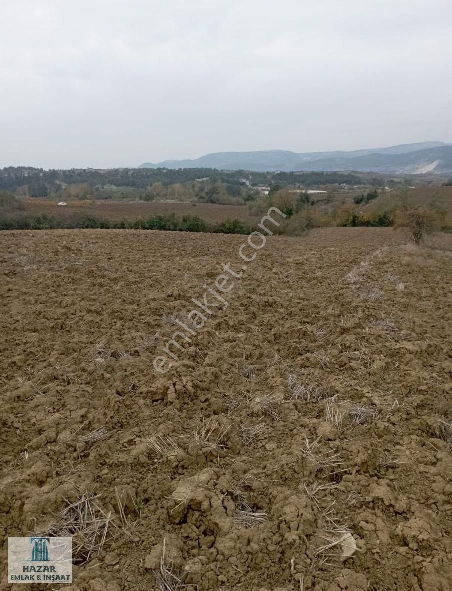 Karaisalı Başkıf Satılık Tarla BAŞKIFTA TEK TAPU KELEPİR SULU TARLA