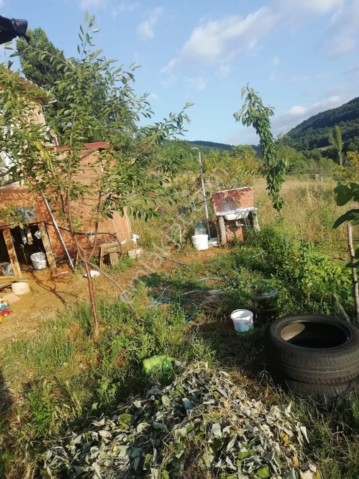 Bursa Kestel Ümıtalanda Hobı Bahcesı Ve Evı - Görsel 3