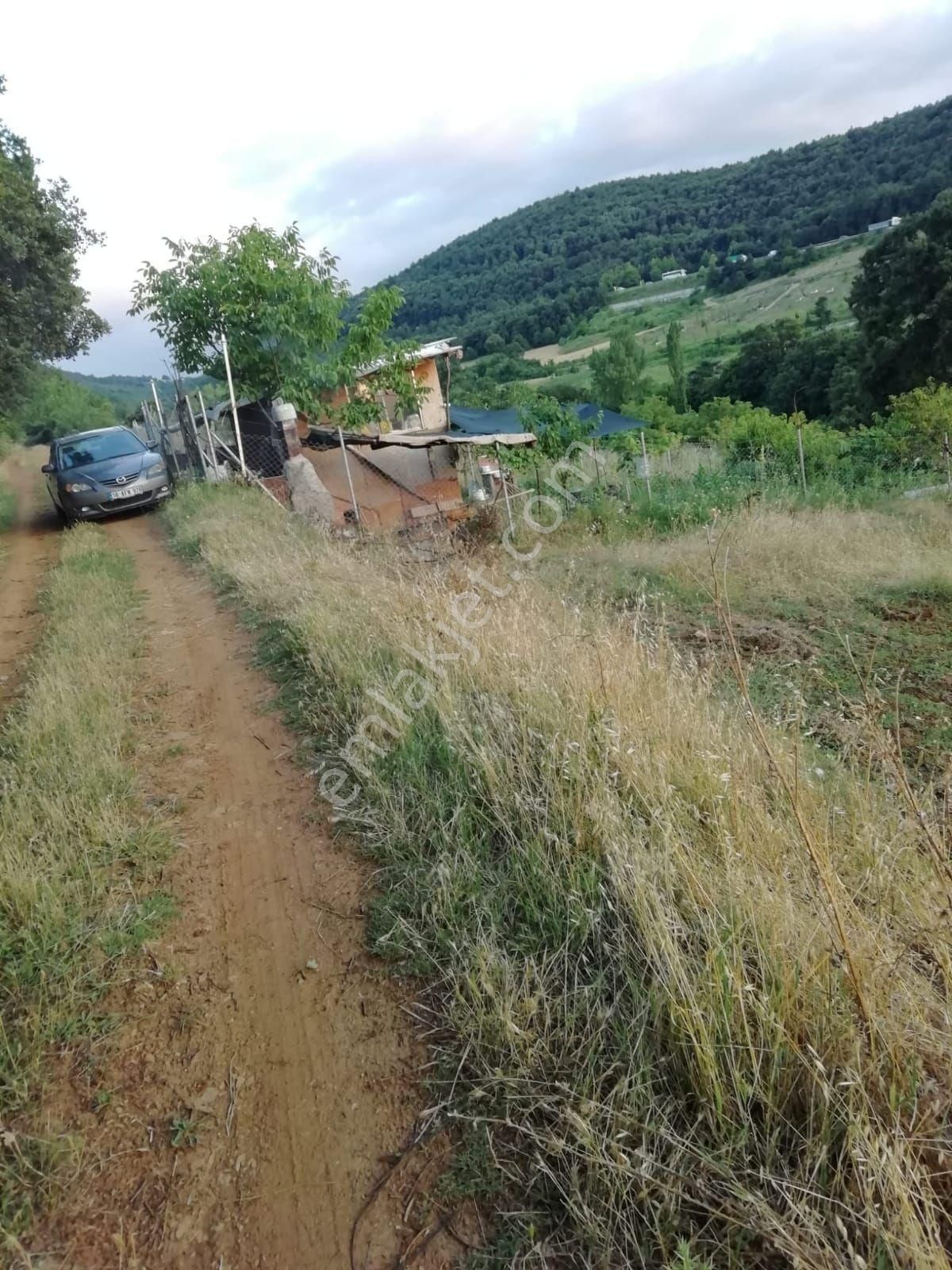 Kestel Ümitalan Satılık Bağ & Bahçe BURSA KESTEL ÜMITALANDA HOBI BAHCESI VE EVI