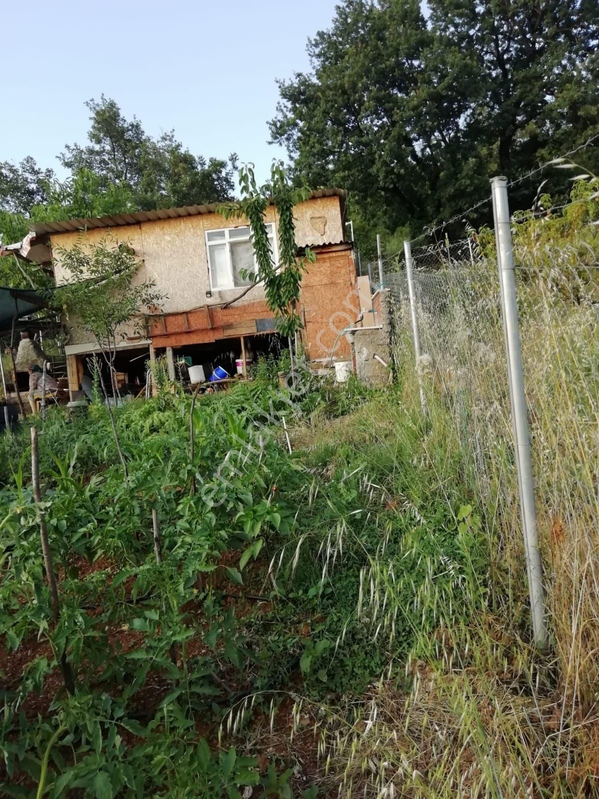 Bursa Kestel Ümıtalanda Hobı Bahcesı Ve Evı - Görsel 4
