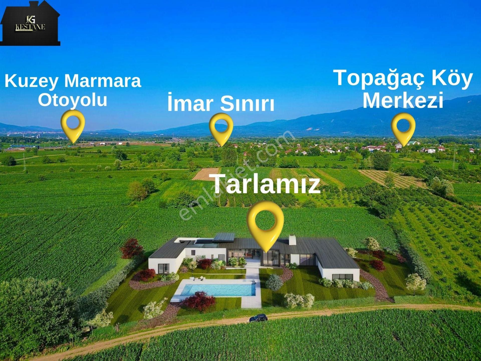 Akyazı Vakıf Satılık Tarla  Resmi Yola 92m cephe | İmara 508m Uzaklıkta Satılık Tarla