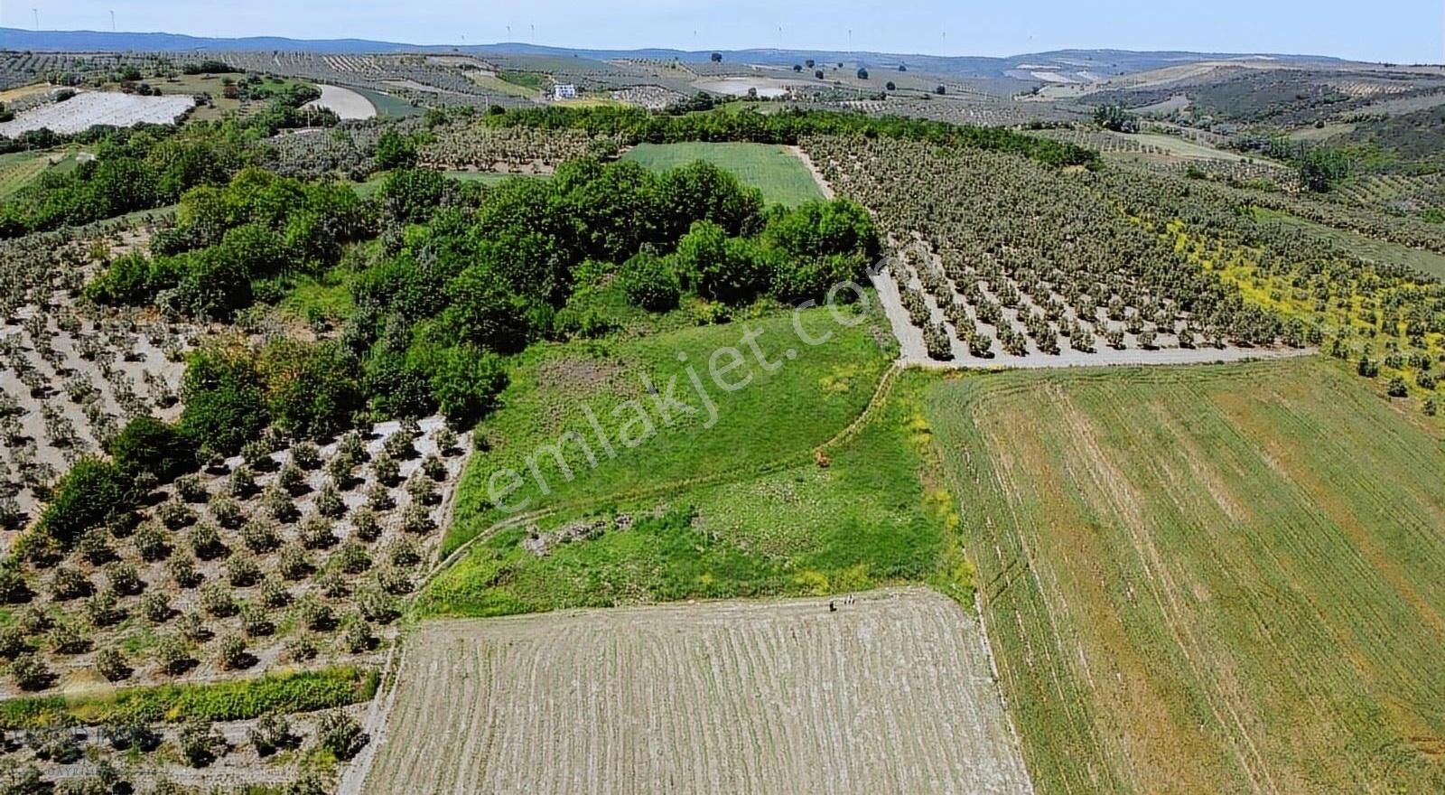 Mudanya Evciler De Tek Tapu Köye Yakın Tarla - Görsel 8