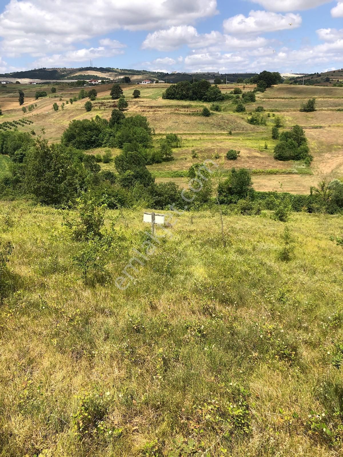 Kandıra Terziler Satılık Tarla   SAHİBİNDEN 20.000M2 YOLA 1.PARSEL