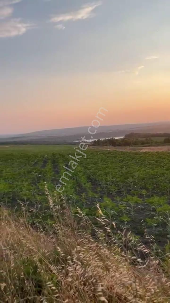 Uzunköprü Kurttepe Köyü Satılık Tarla  KURTTEPE KÖYÜNDE BARAJIN ÜZERİN DE YATIRIMLIK 17803 M2 SATILIK TARLA