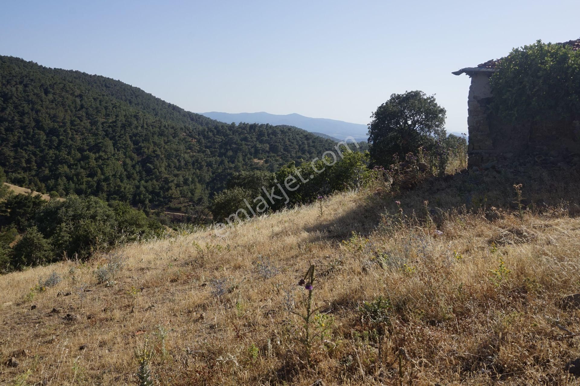 Bayramiç Kaykılar Köyü Satılık Konut İmarlı  ÇANAKKALE BAYRAMİÇ KAYKILAR KÖYÜ 2444 m2 KÖYİÇİ İMARLI ARSA