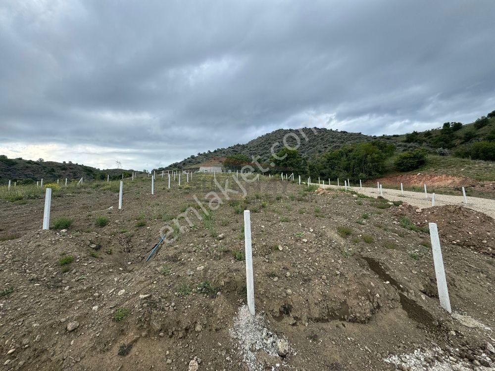 Çorum Merkez Elmalı Köyü Satılık Tarla  GÜVENAY - ÇORUM ELMALI - KAZIKLIKAYA KÖYÜ ARASI SATILIK TARLA 