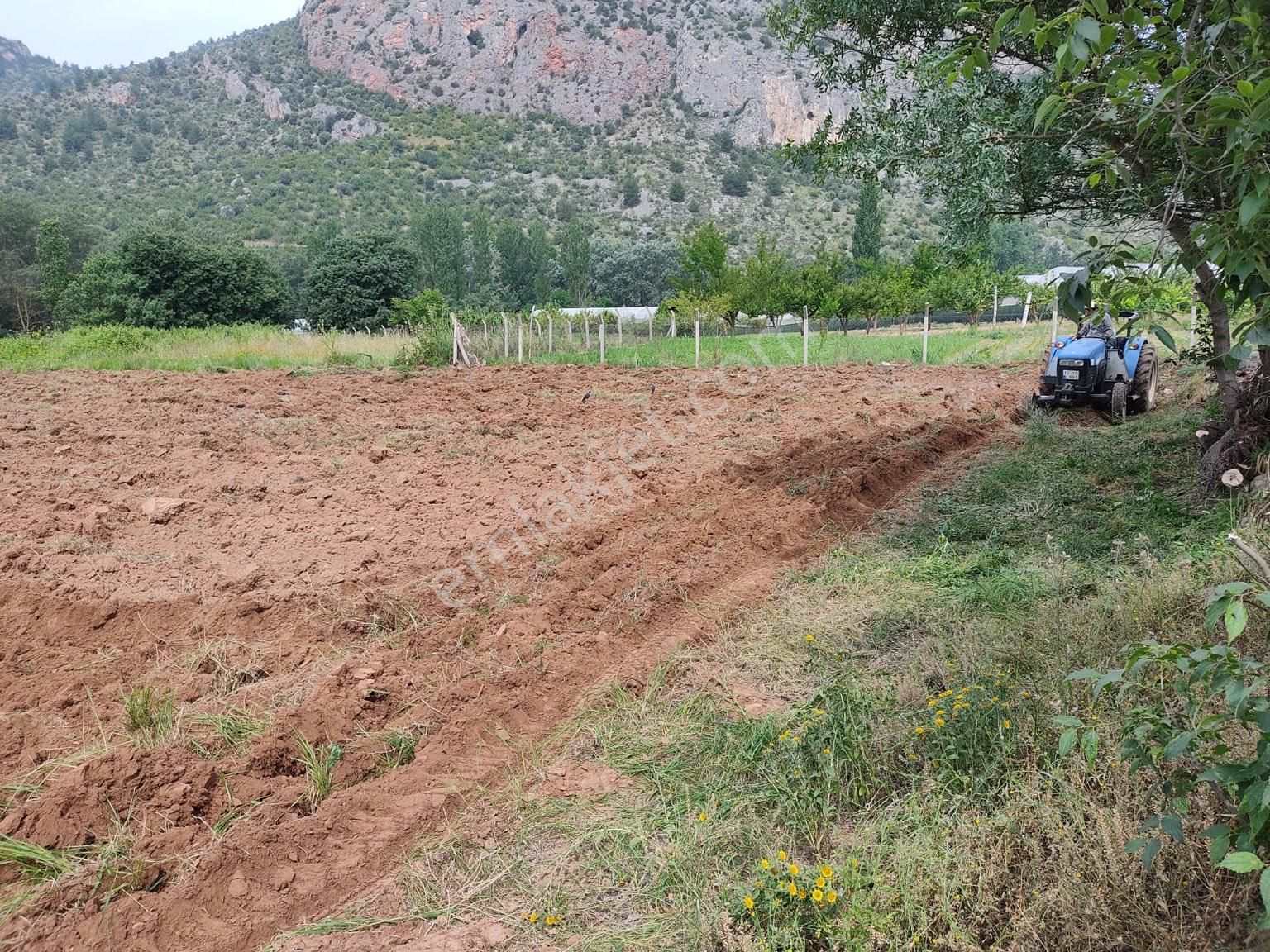 Söğüt Tuzaklı Köyü Satılık Tarla  BİLECİK SÖĞÜT TUZAKLI KÖYÜNDE SATILIK ARAZİ