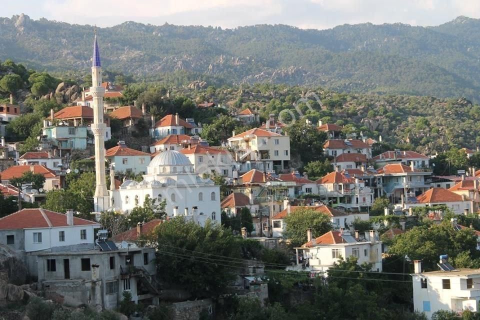 Milas Ekiztaş Satılık Zeytinlik Milas İkiztaş Mahallesi Doğa Sevenler İçin Satılık Zeytinlik