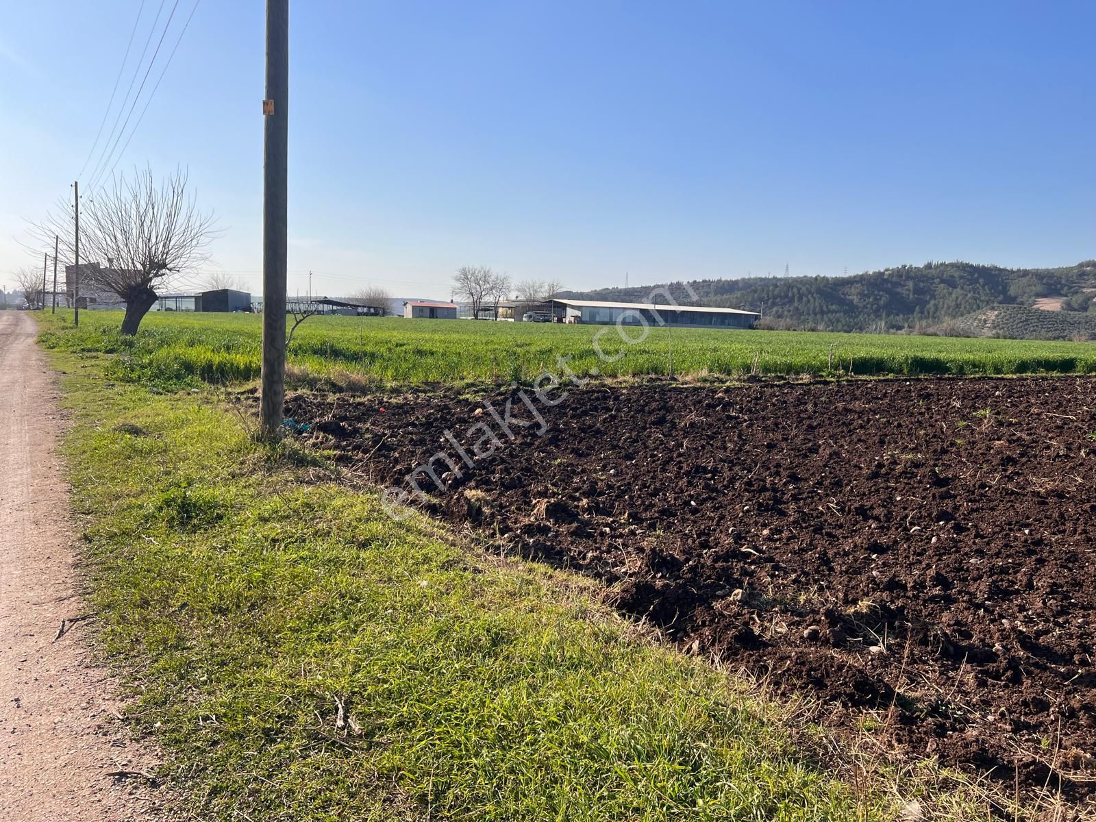 Osmaniye Merkez Arslanlı Köyü Satılık Bağ & Bahçe  ARSLANLI KÖYÜNDE SATILIK 5 DÖNÜM TARLA